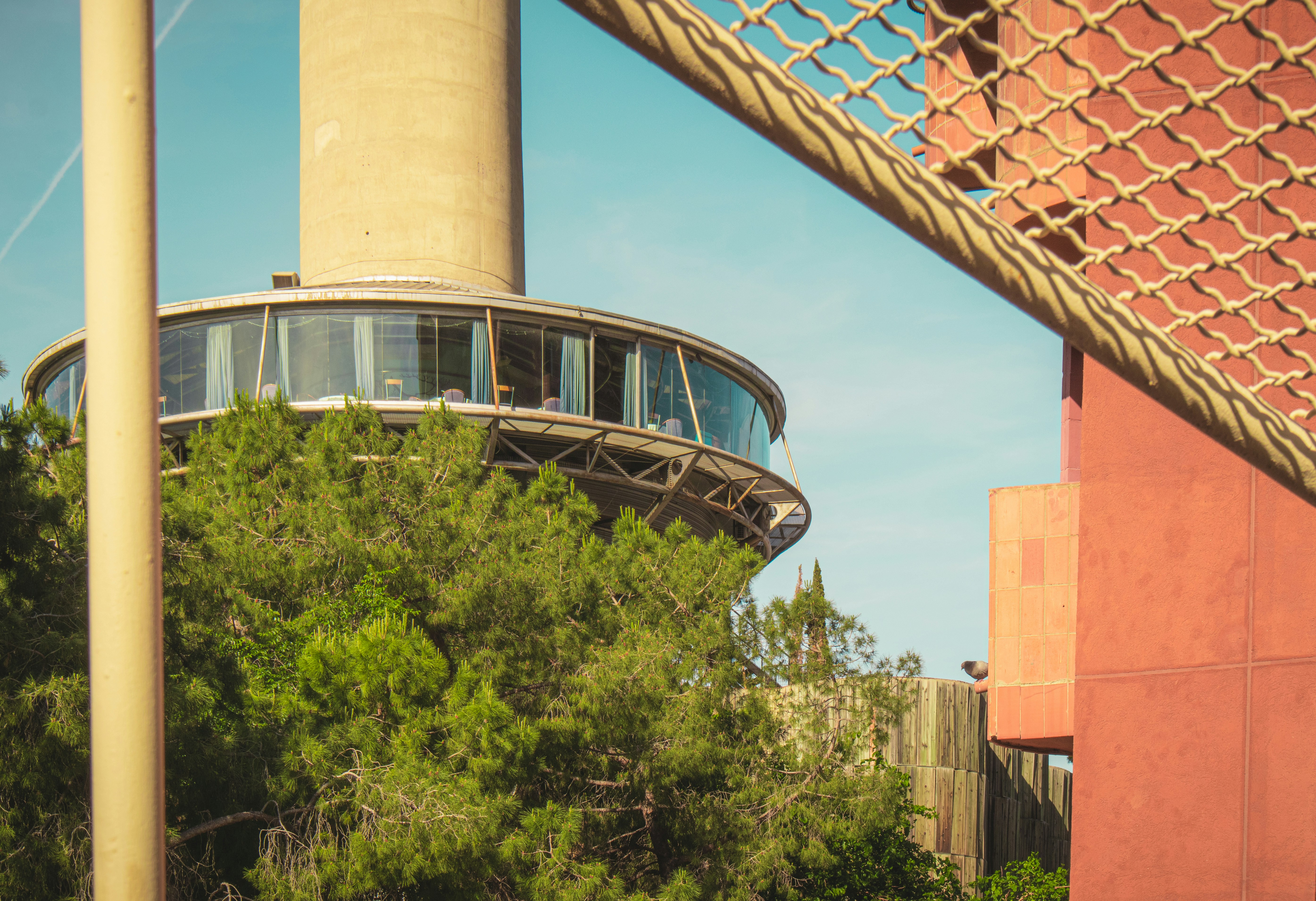 A tower's observation deck peers through the trees.