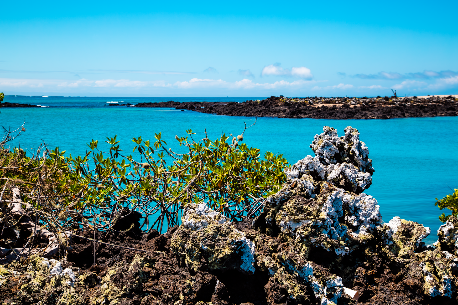 Costa rocosa de Galápagos con agua turquesa