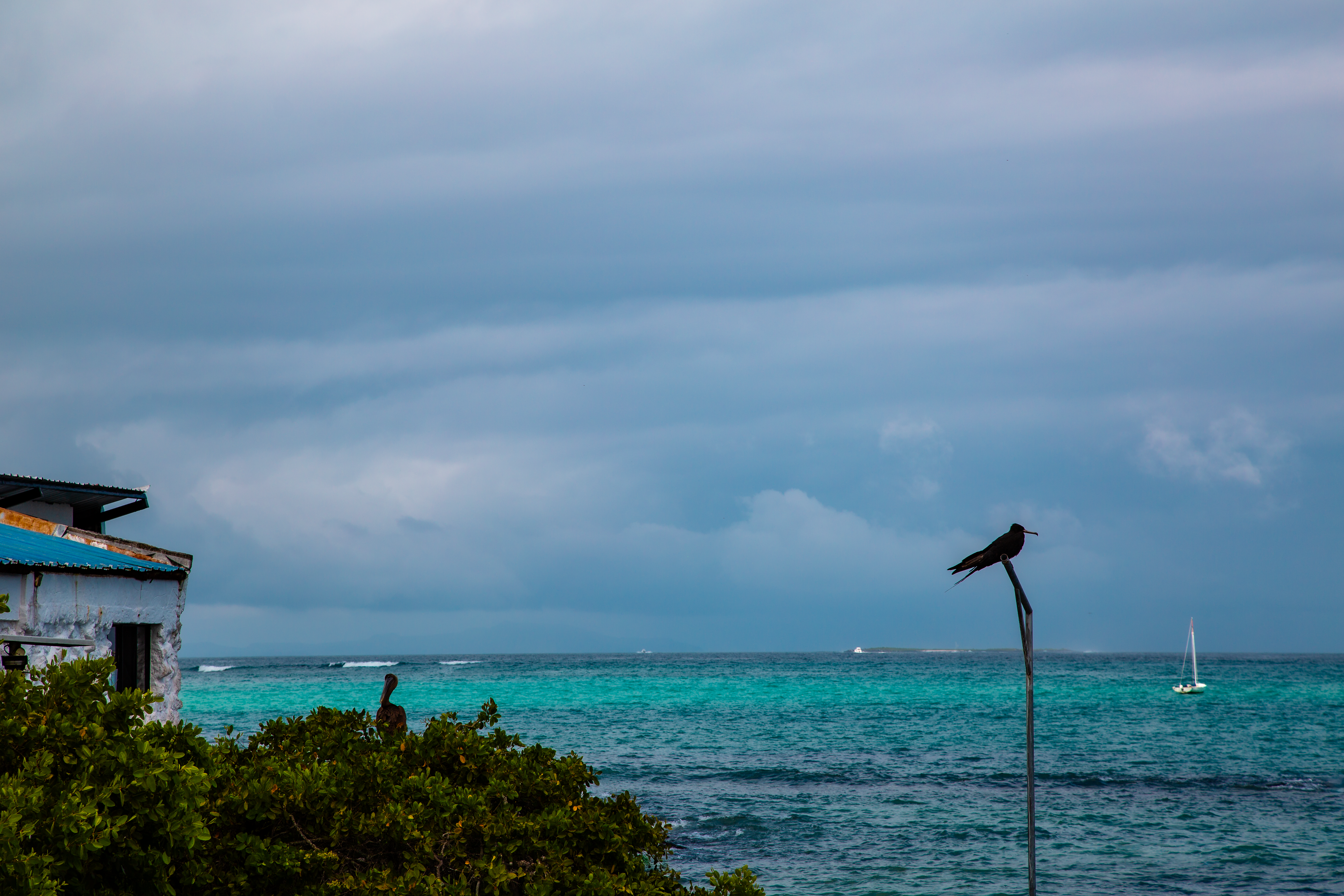 Photo by sofiatheexplorer