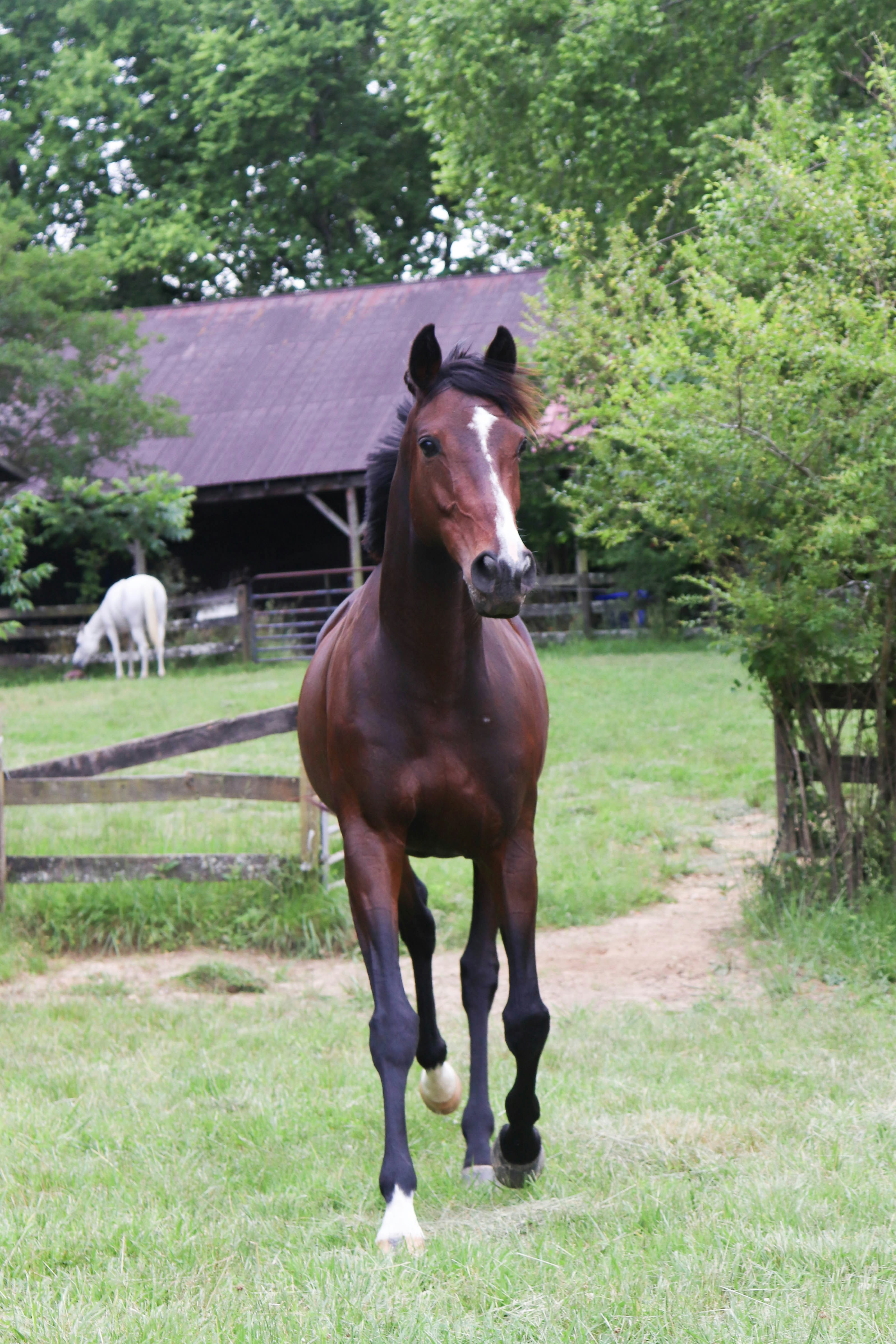 Photo by lroberts067