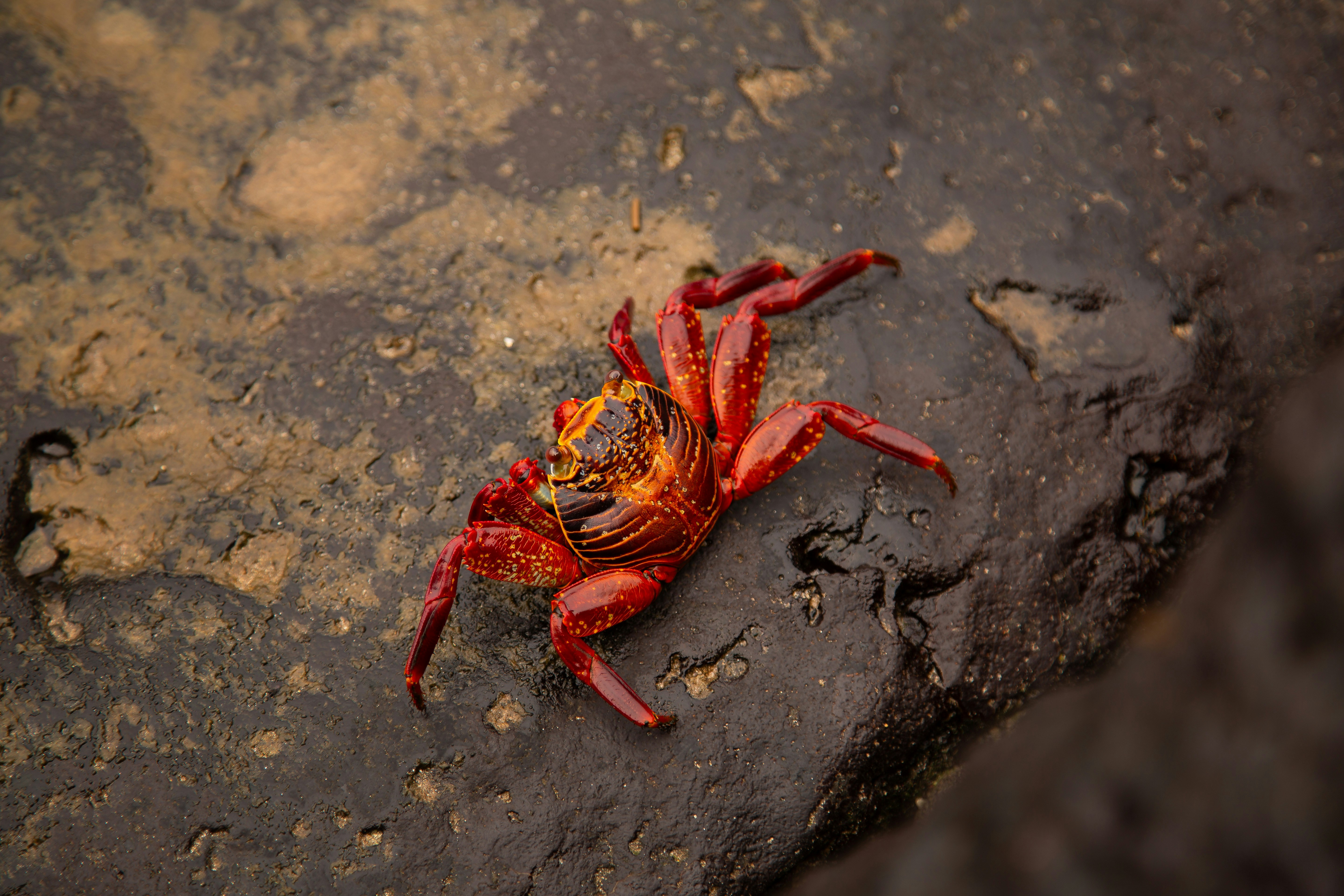 Photo by sofiatheexplorer