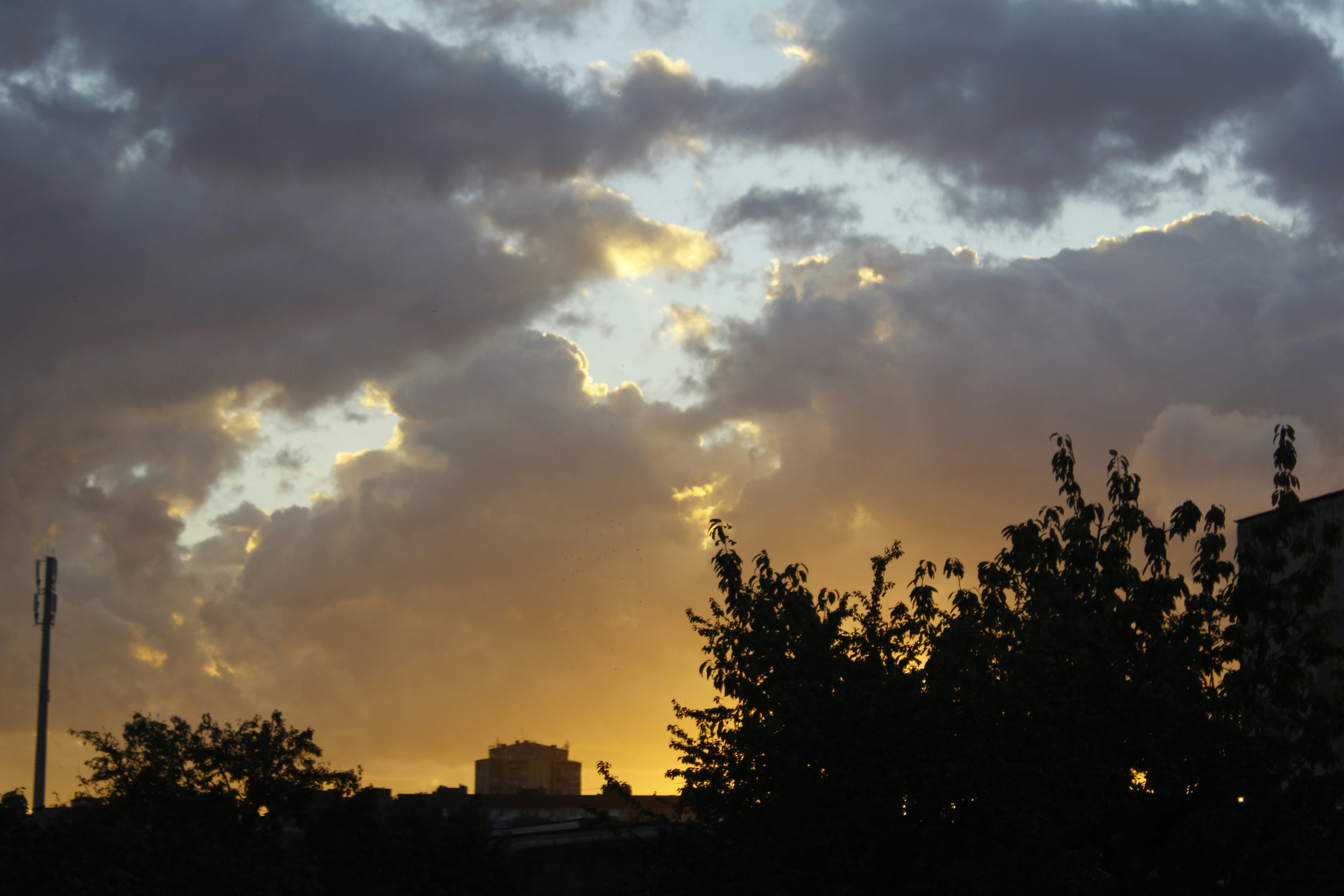 Photo by reisnull