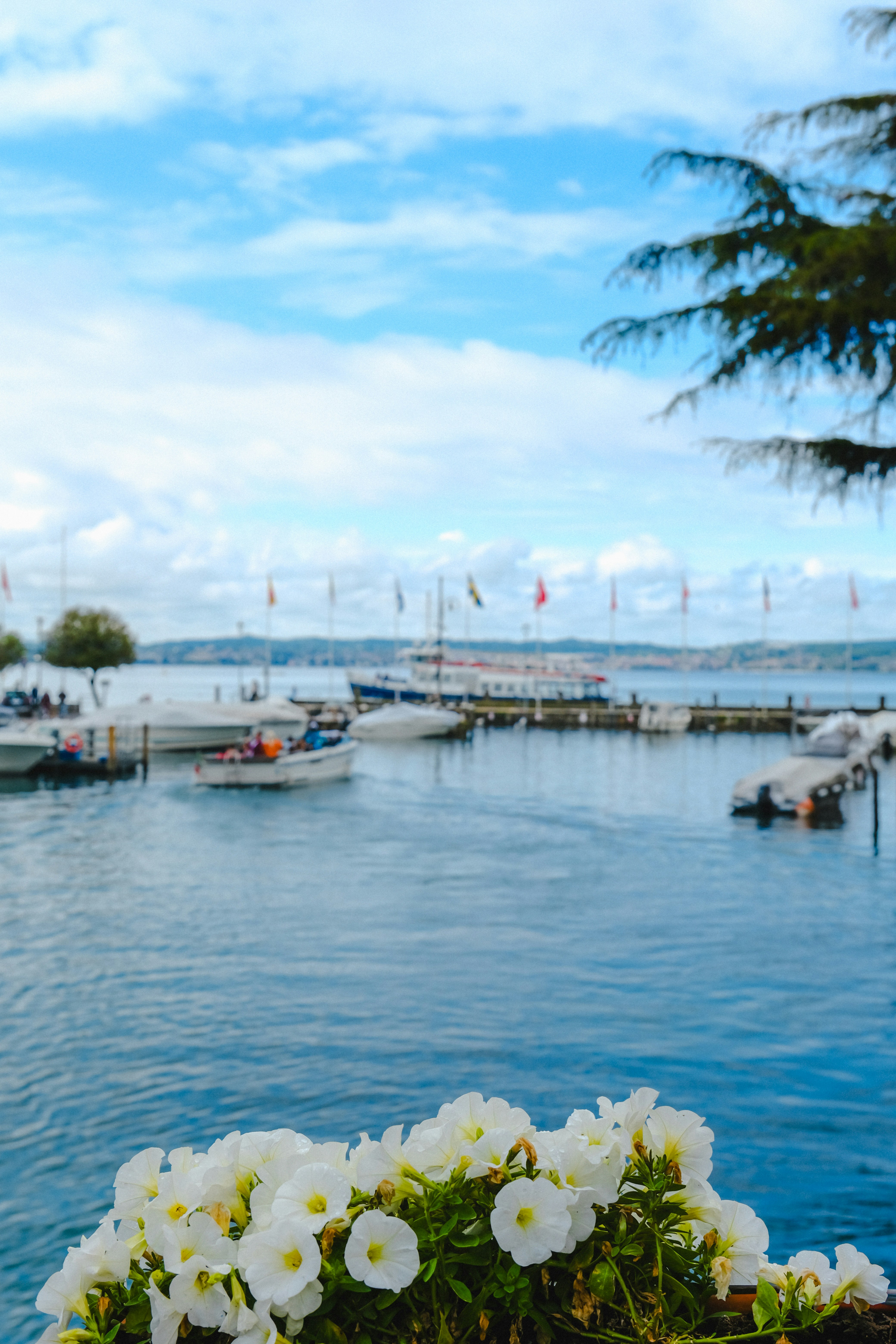 Photo by denisaficau