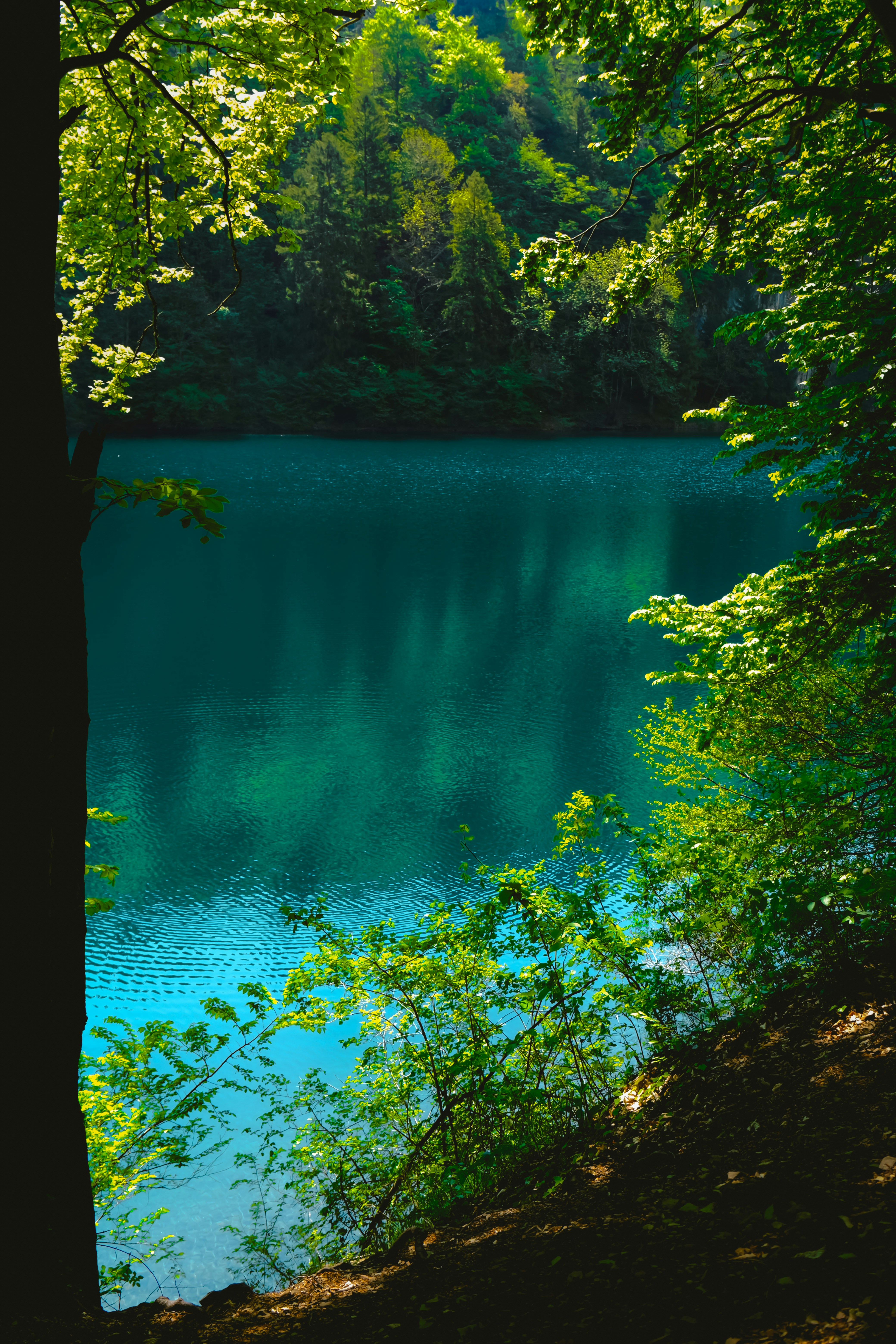 Photo by denisaficau