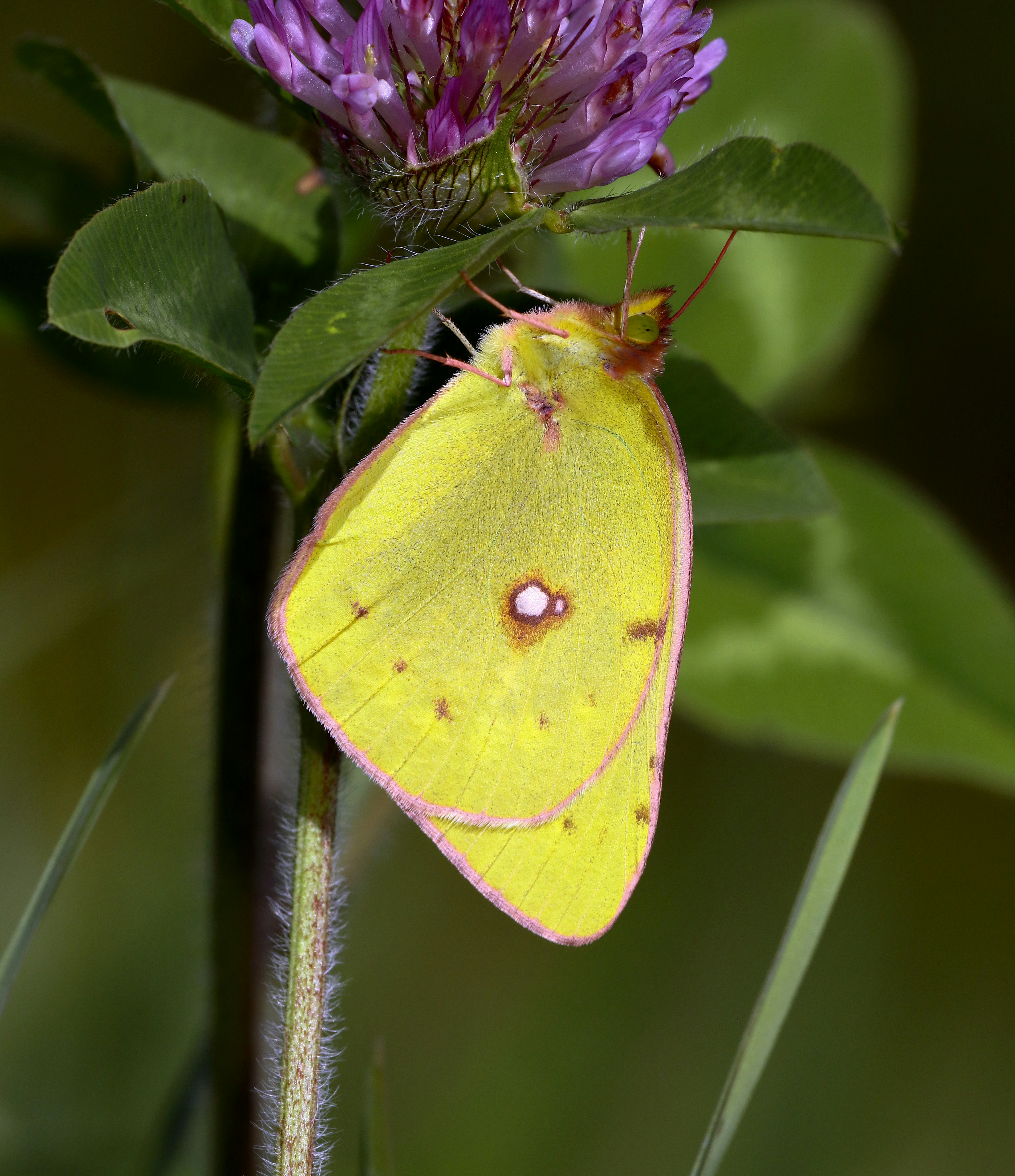 Photo by telliottmbamsc