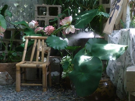 A small chair sits near lotus flowers.