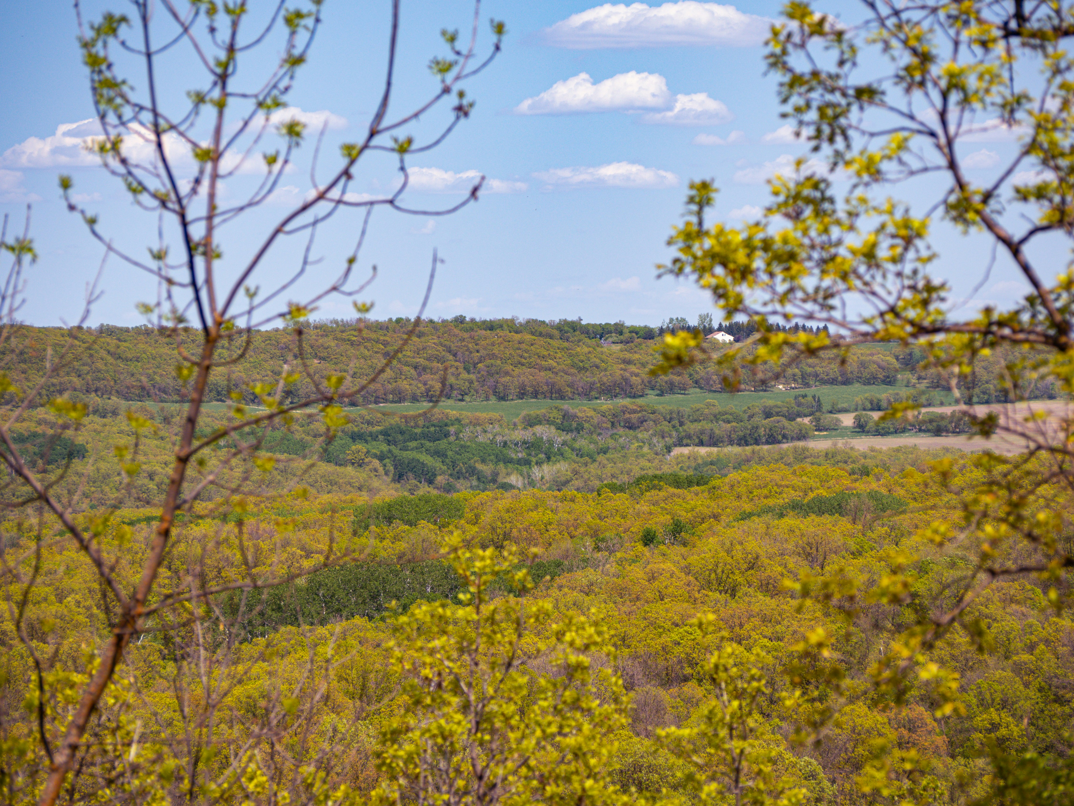 Photo by samueljames16