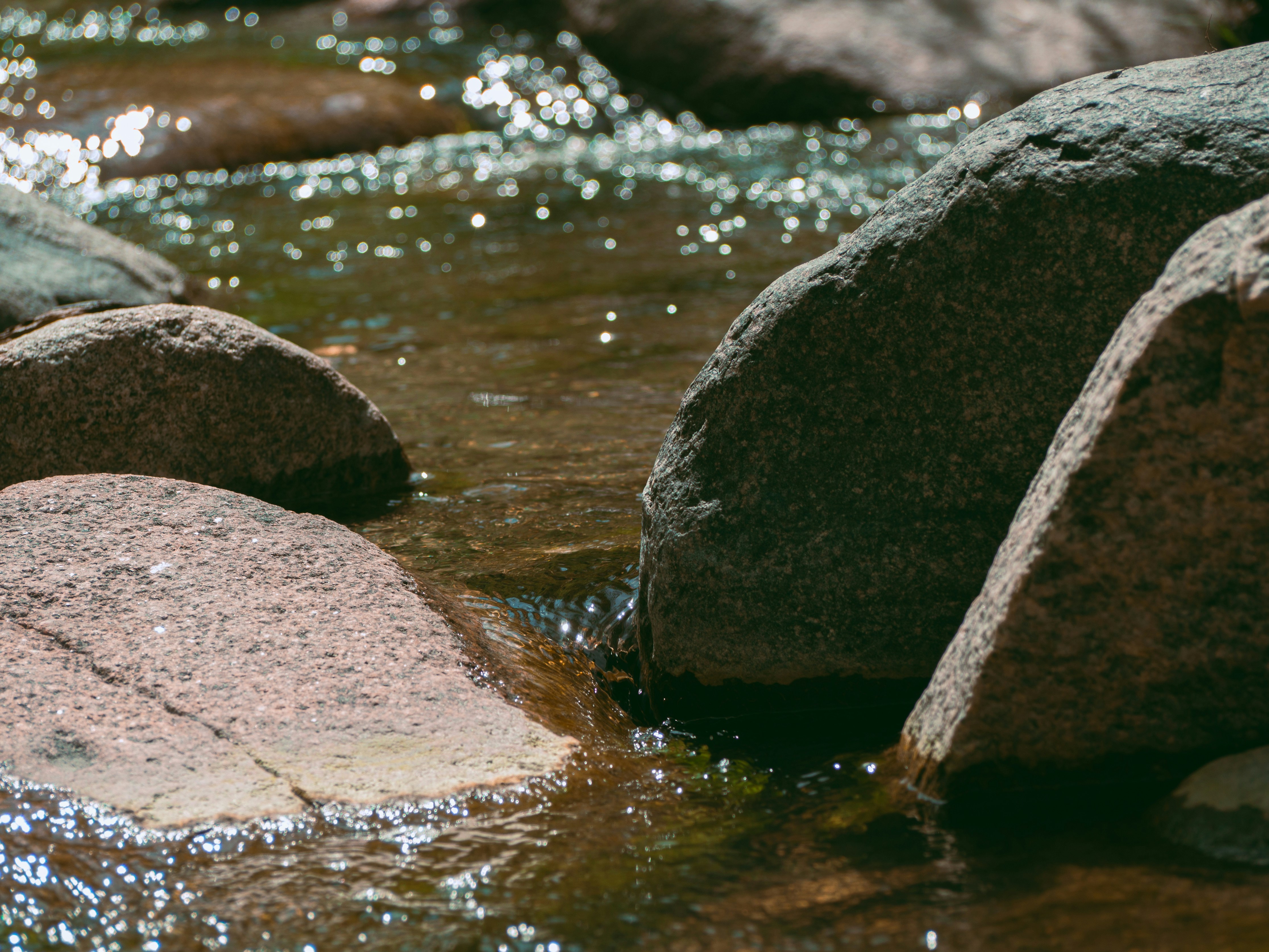 Photo by samueljames16