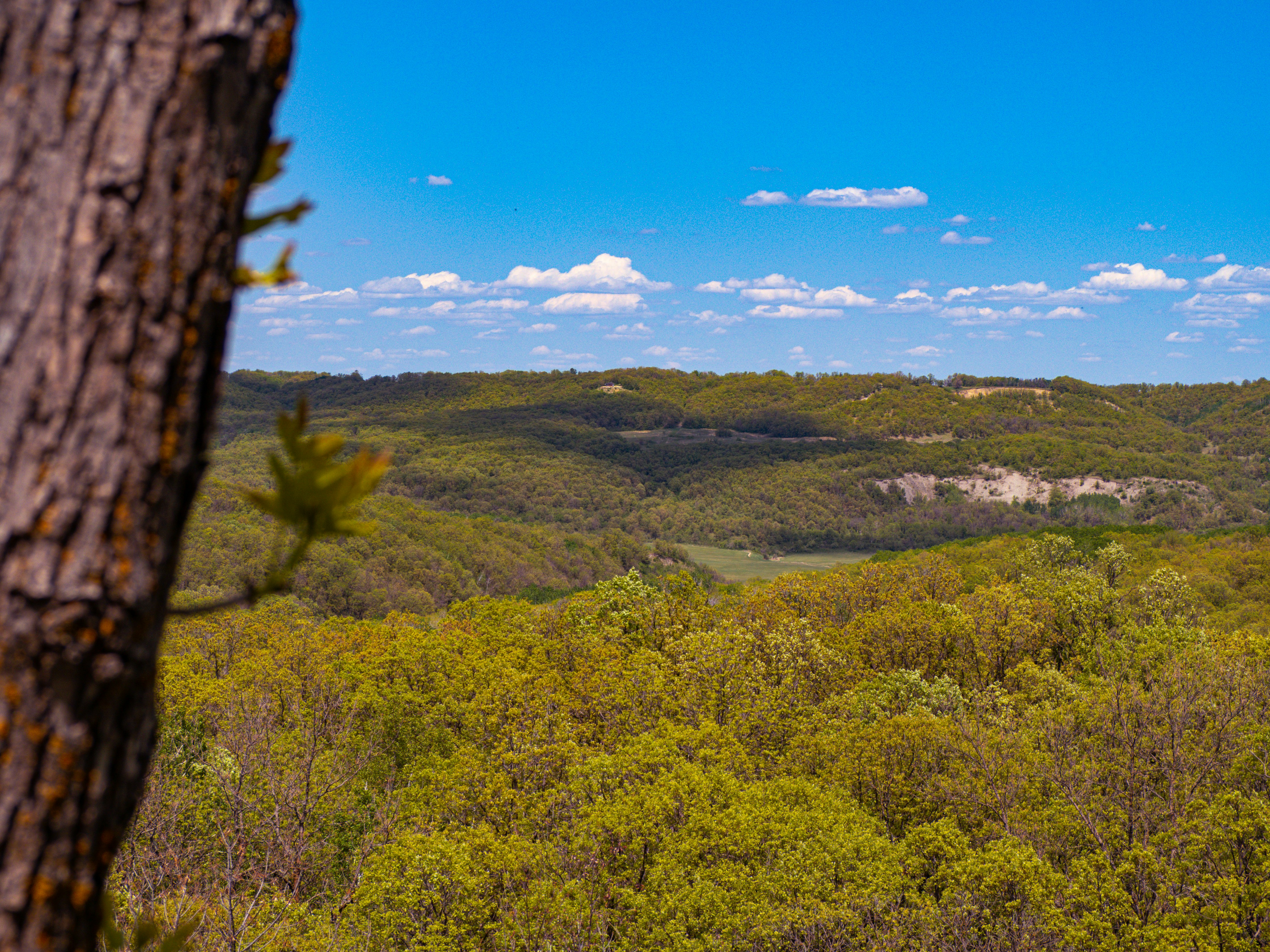 Photo by samueljames16