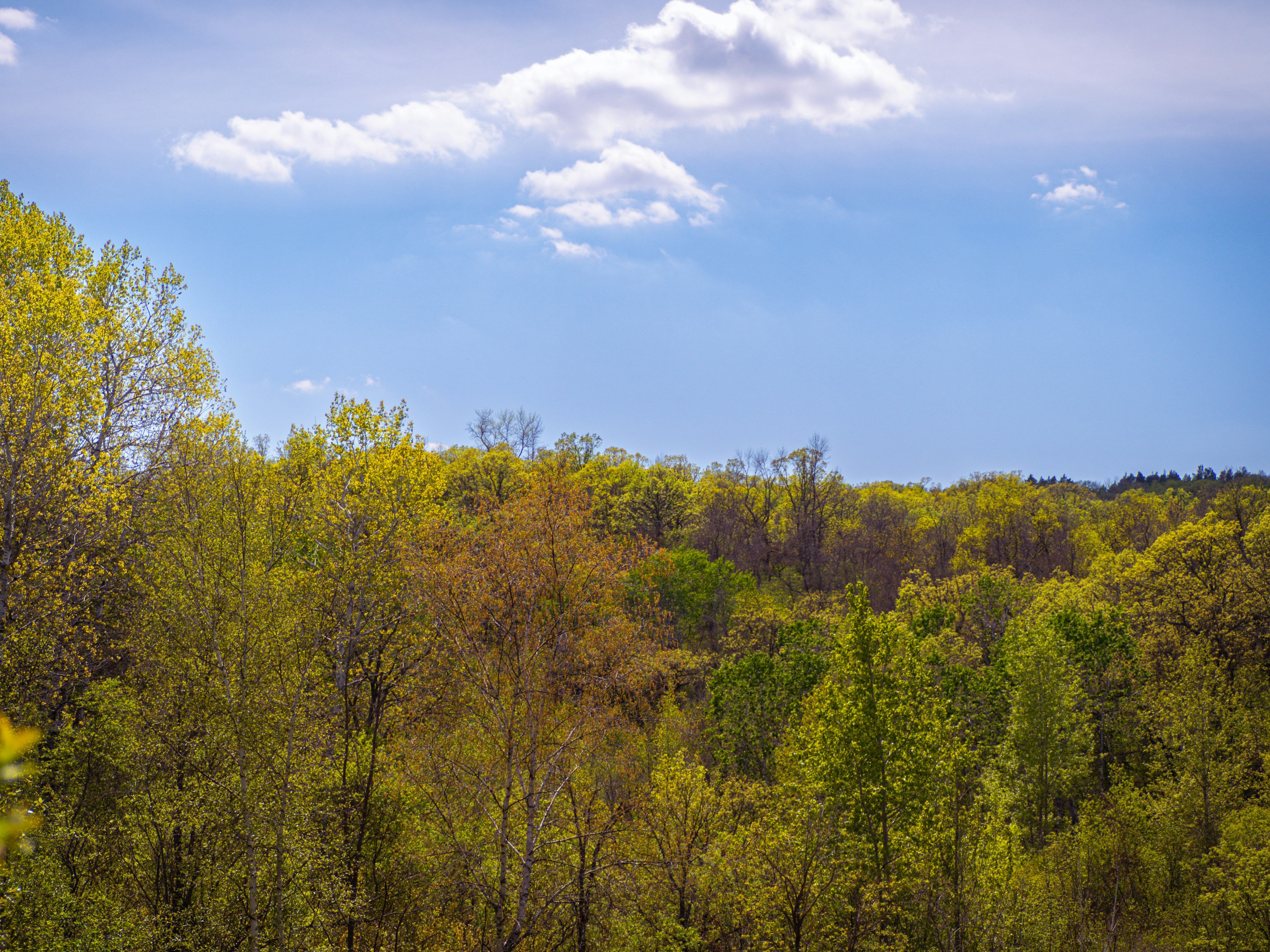 Photo by samueljames16