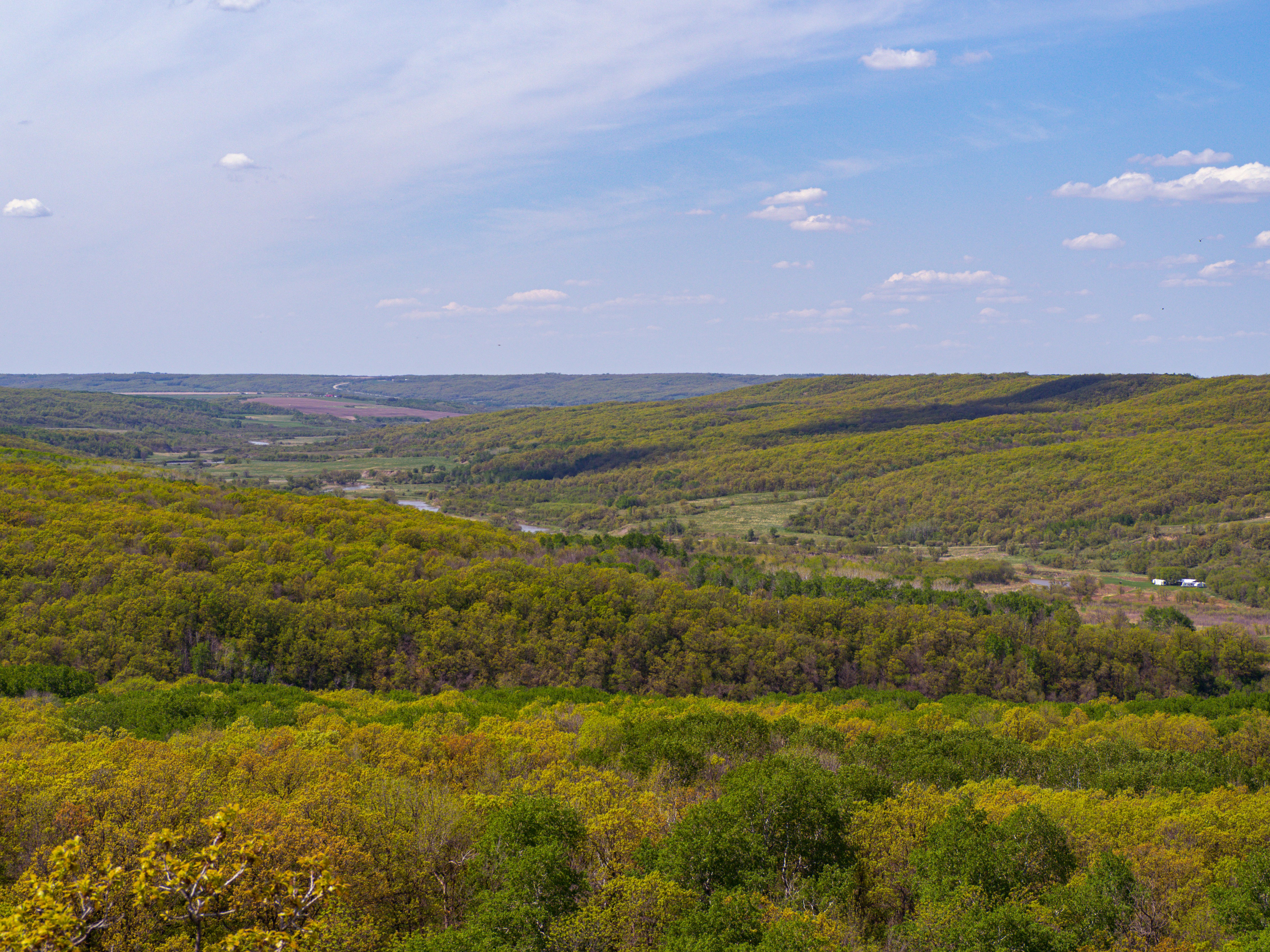 Photo by samueljames16