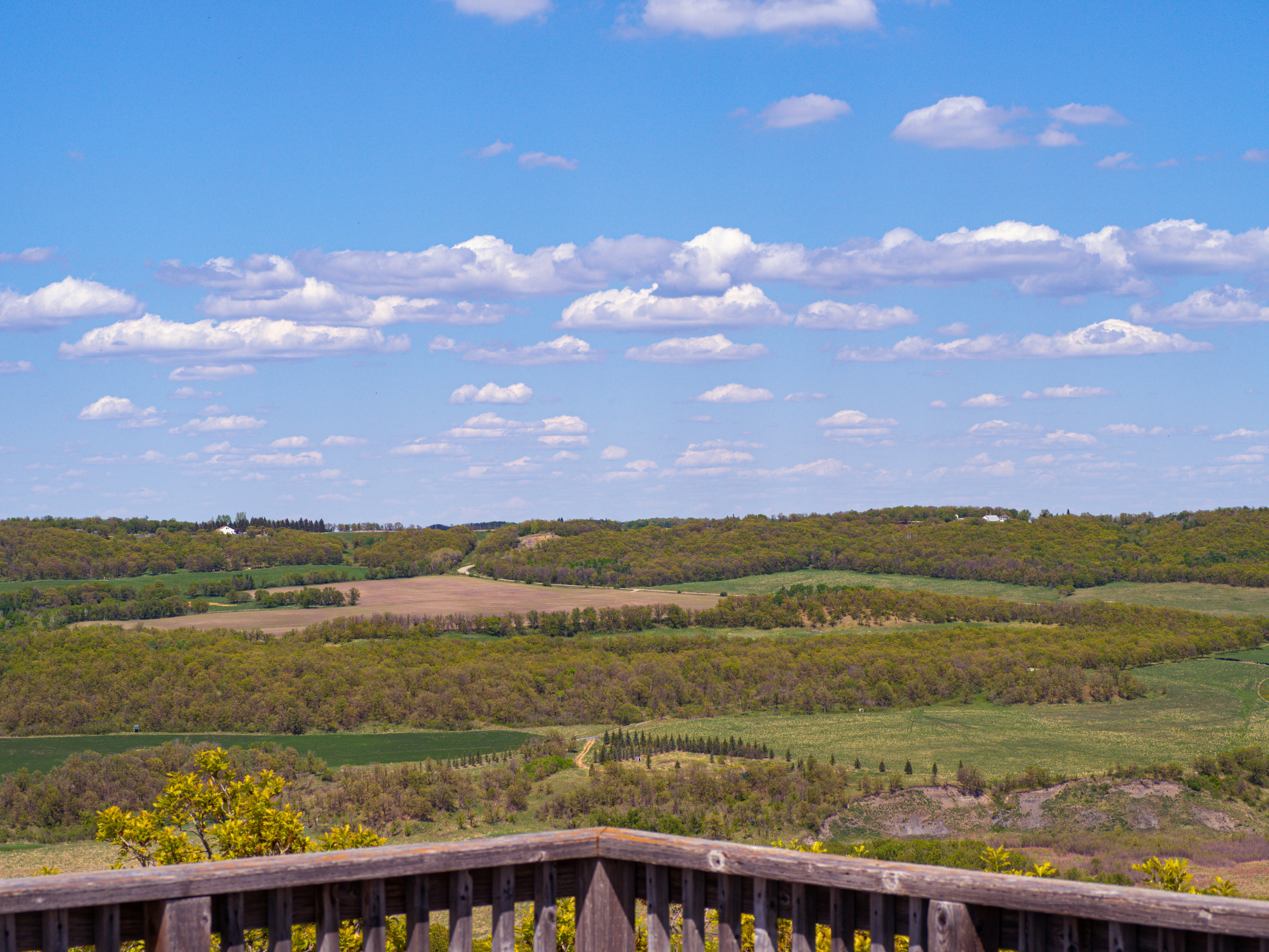 Photo by samueljames16