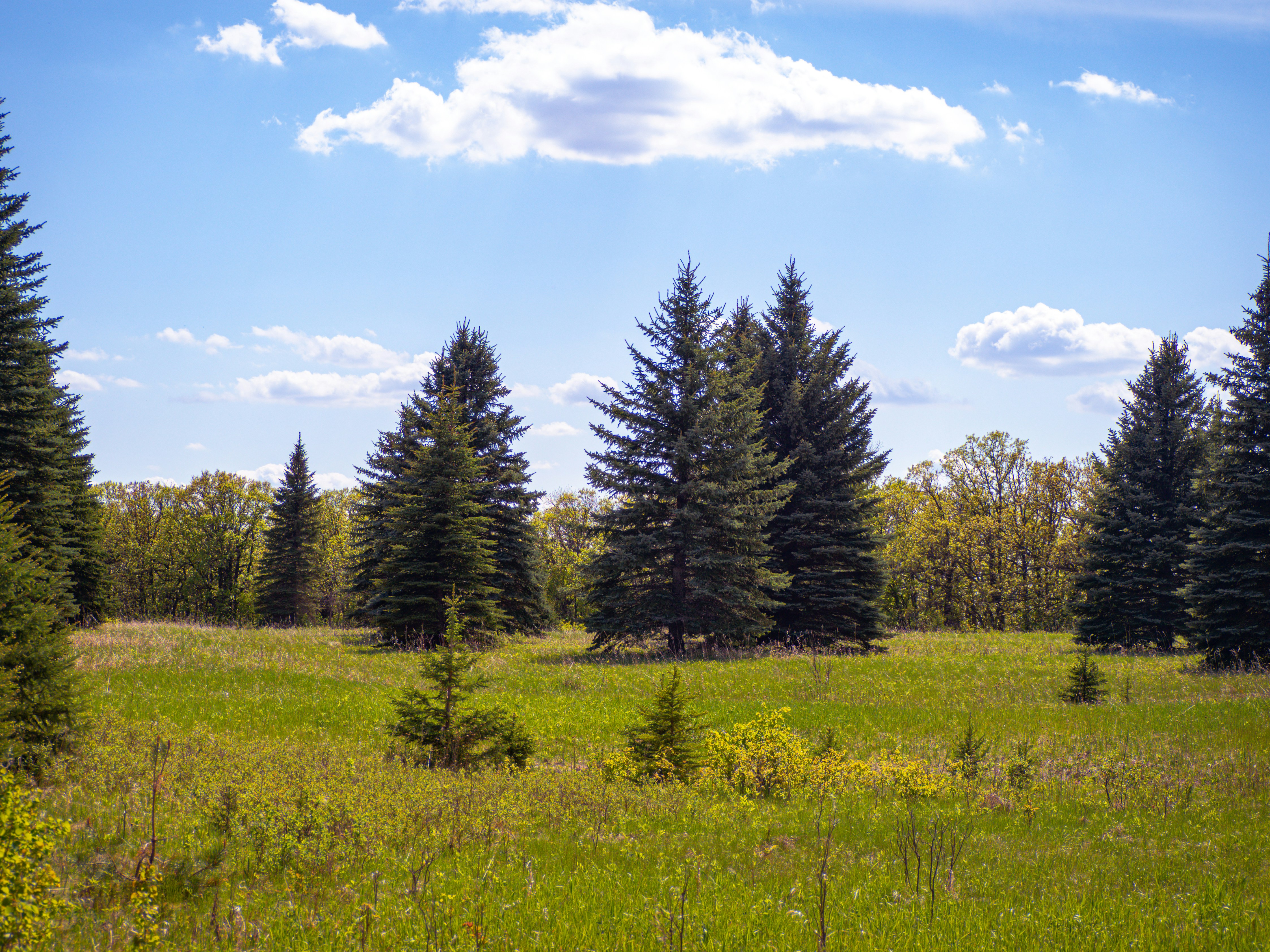 Photo by samueljames16