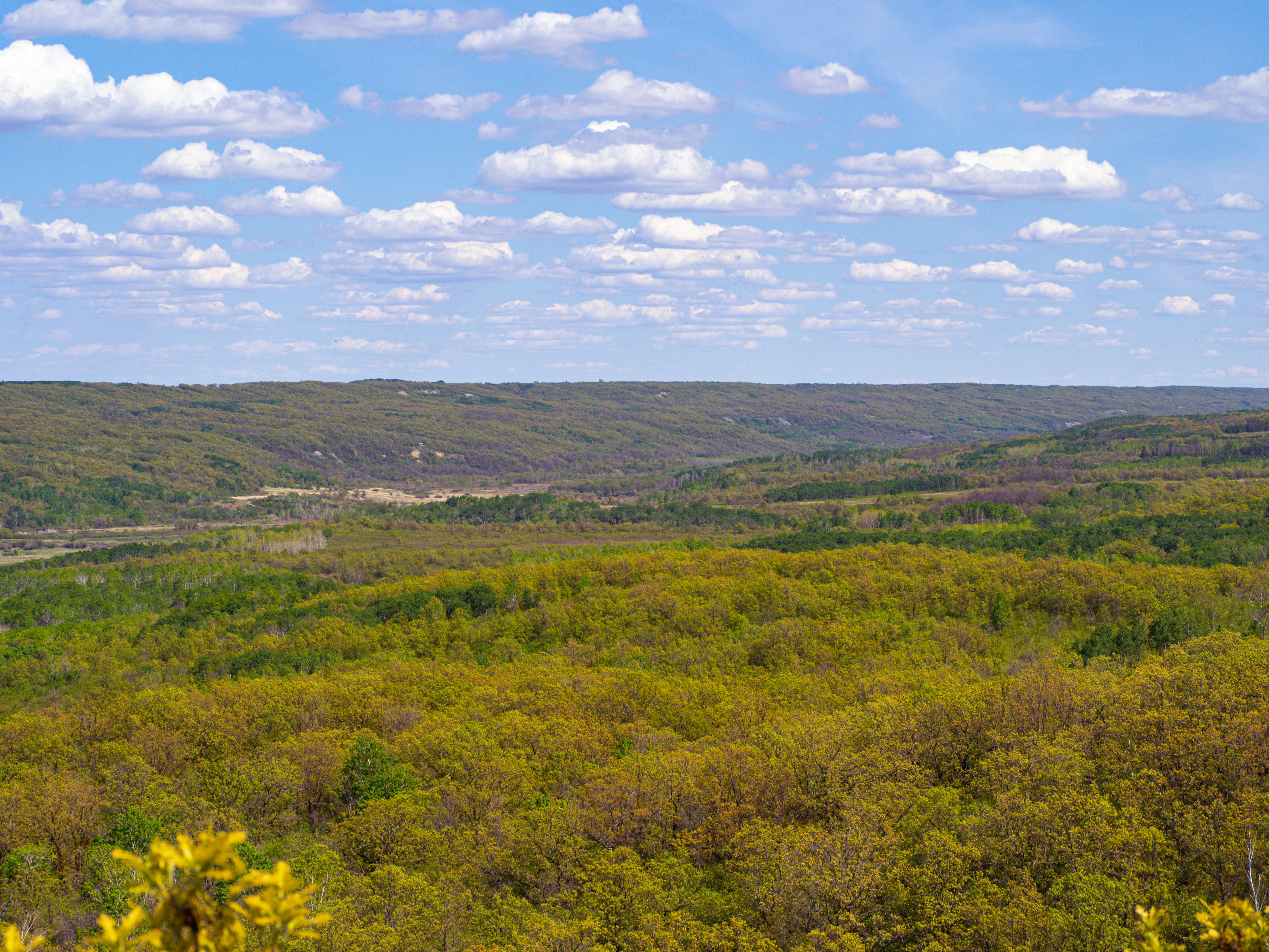 Photo by samueljames16