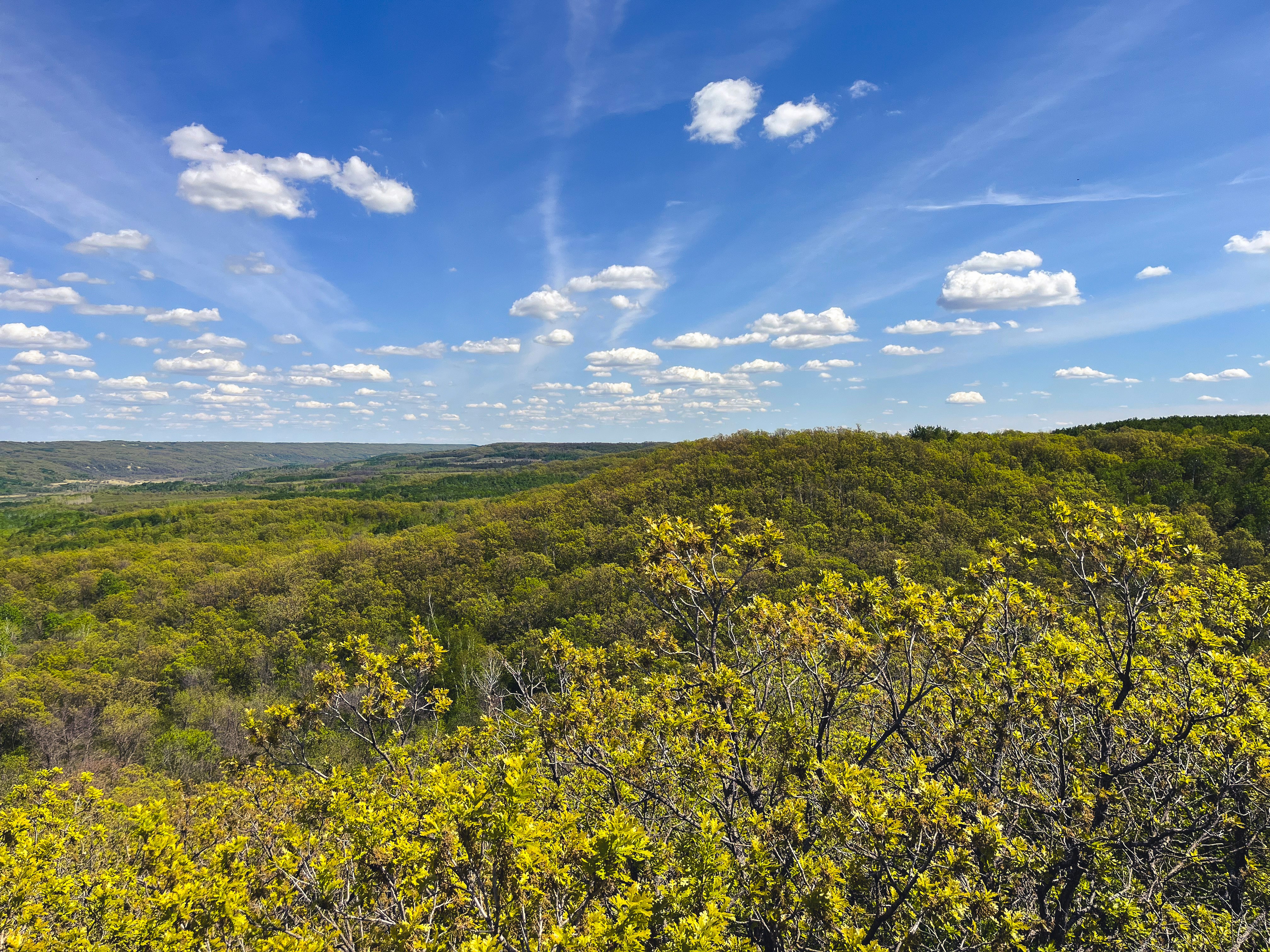 Photo by samueljames16