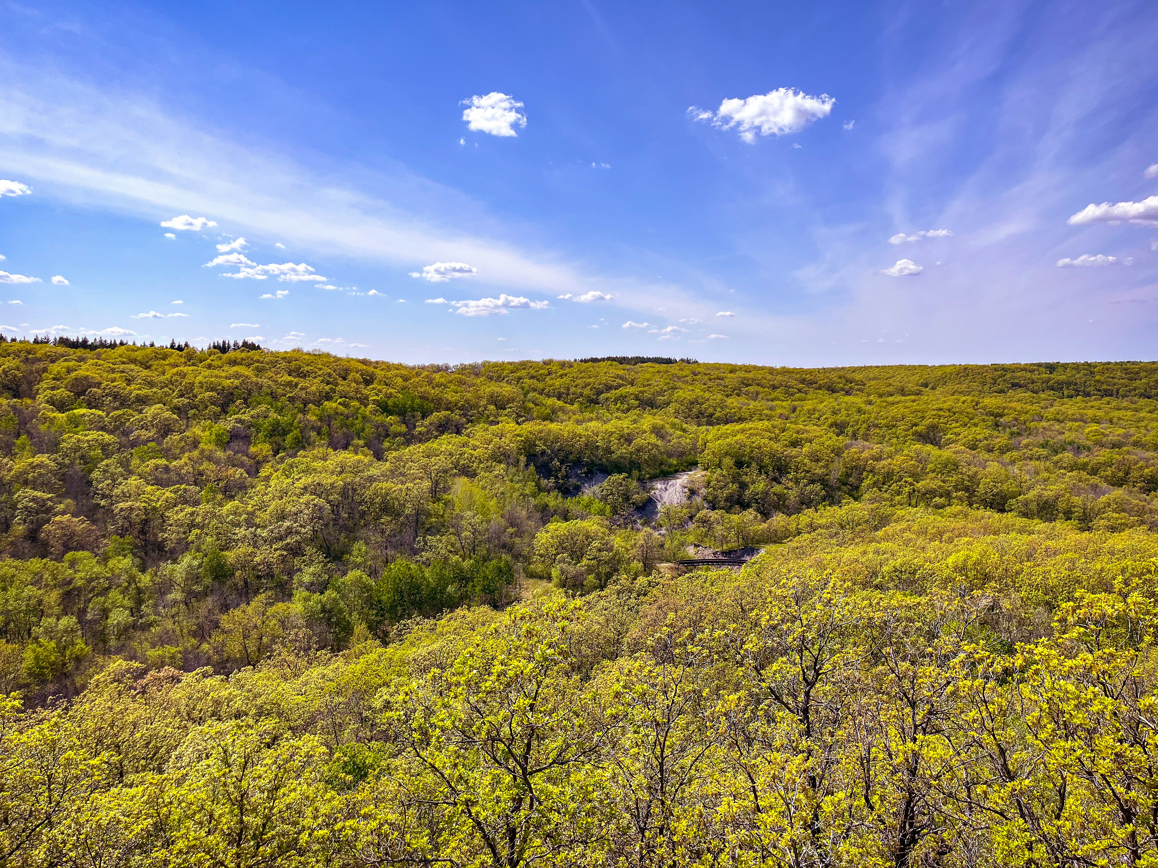 Photo by samueljames16