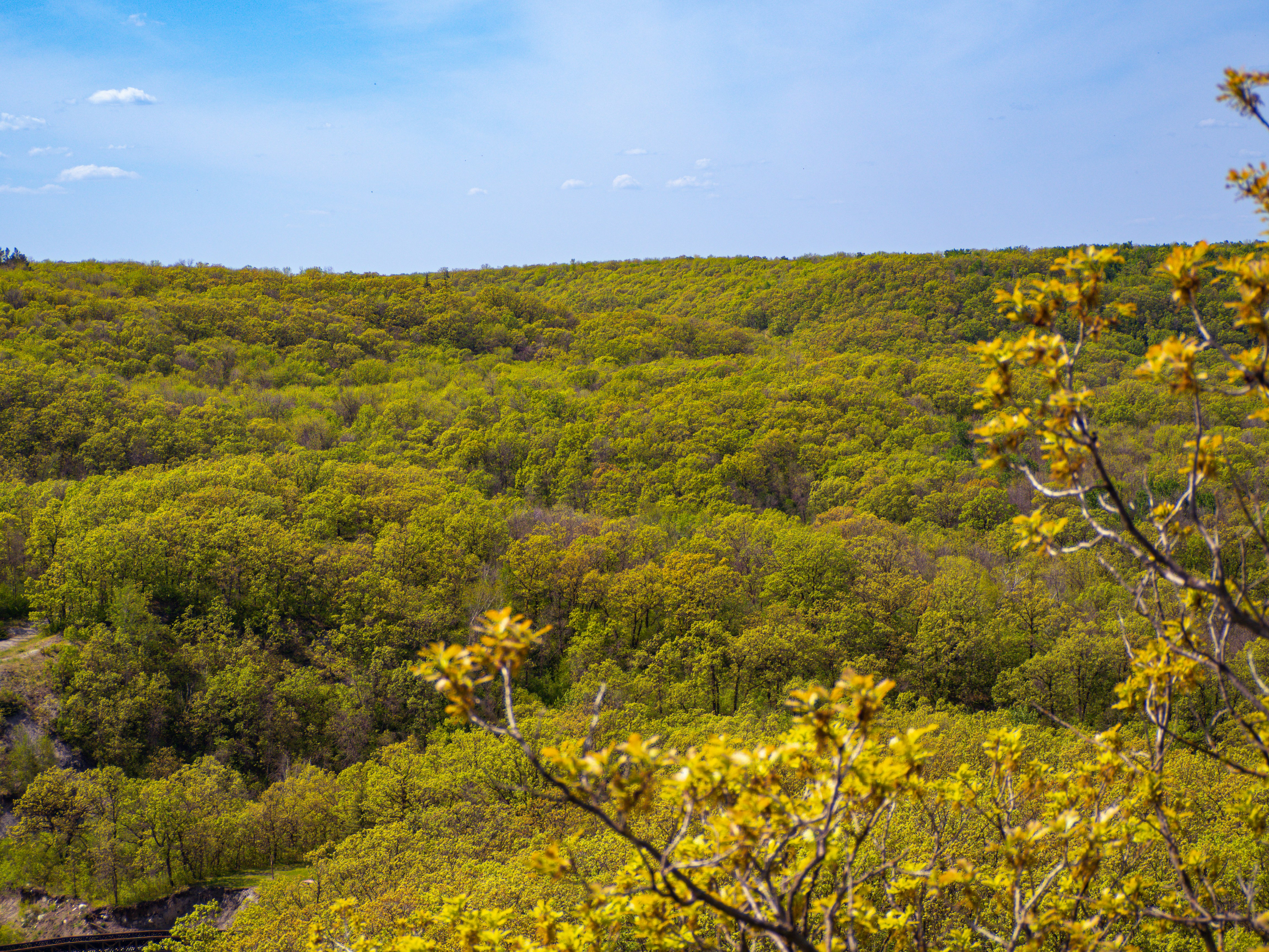 Photo by samueljames16