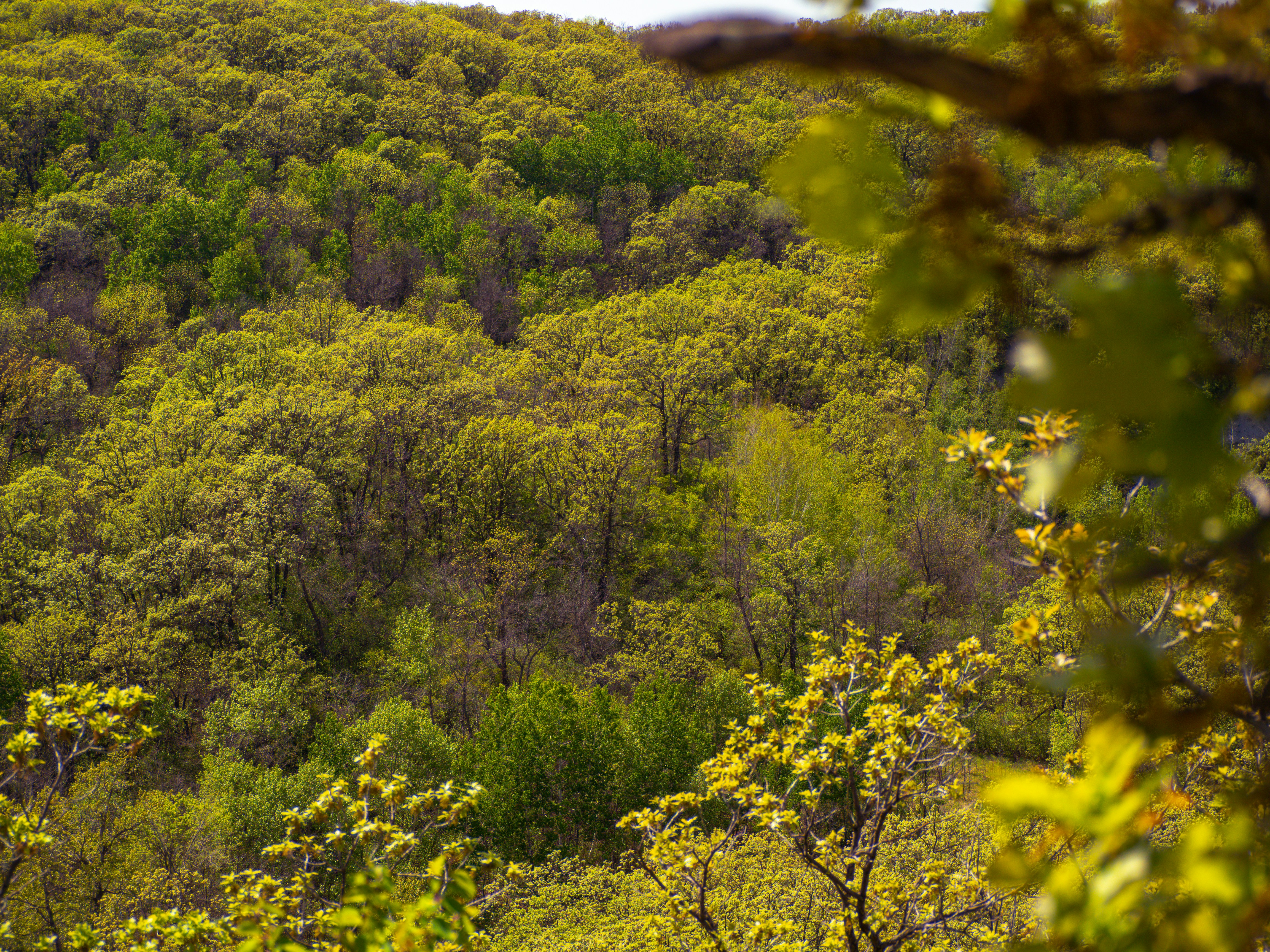 Photo by samueljames16