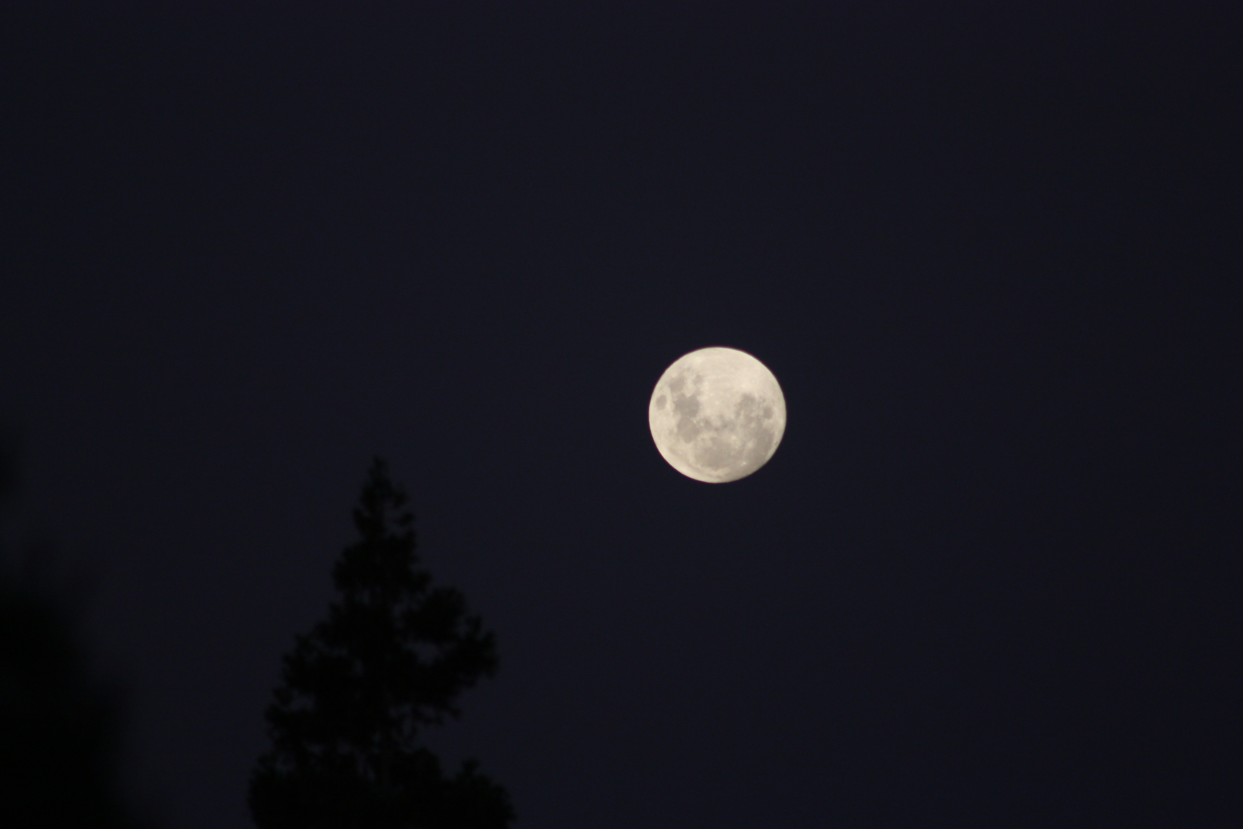 Photo by latteinacup