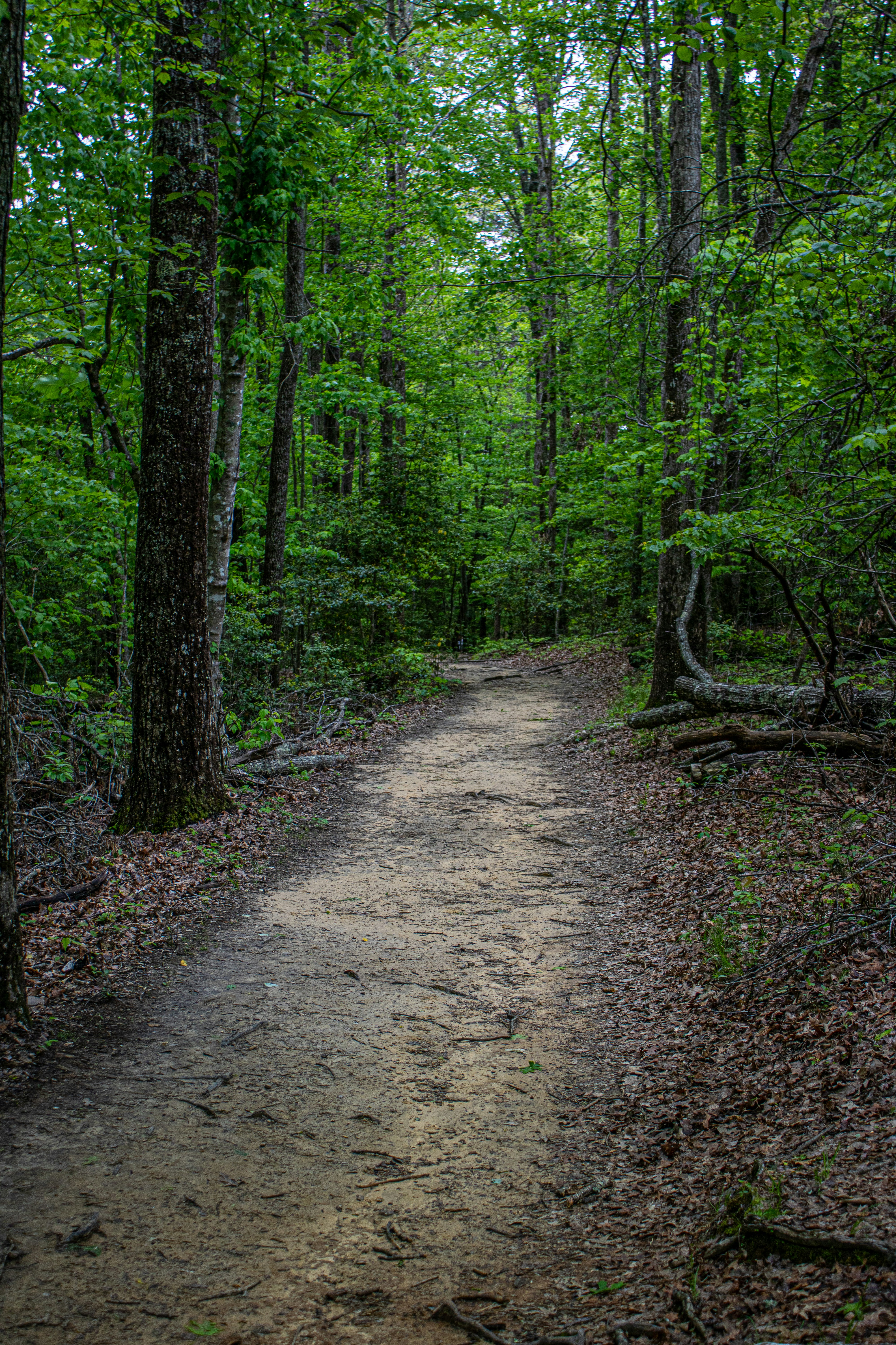 Photo by prphotography262