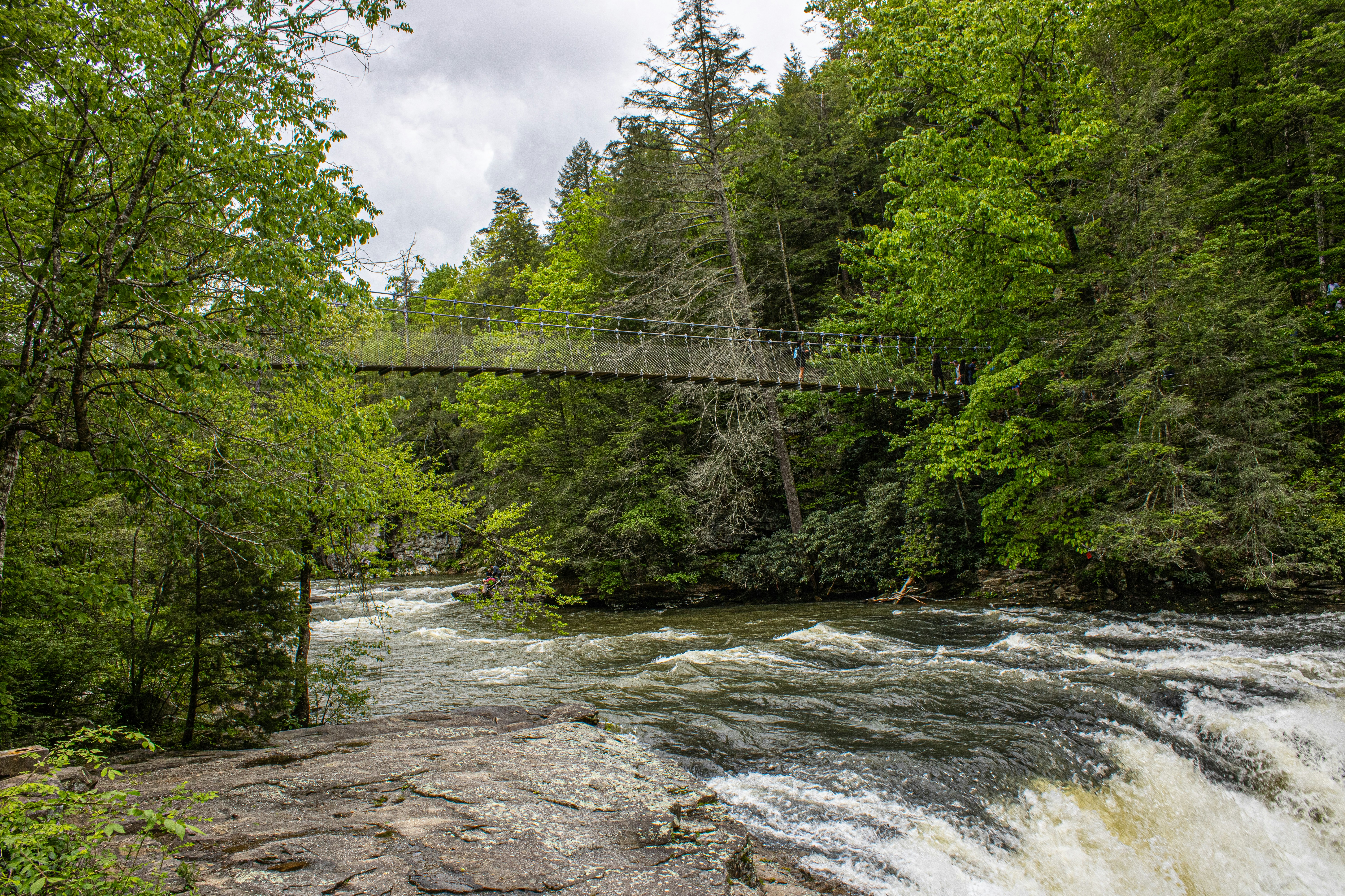 New River Trail State Park