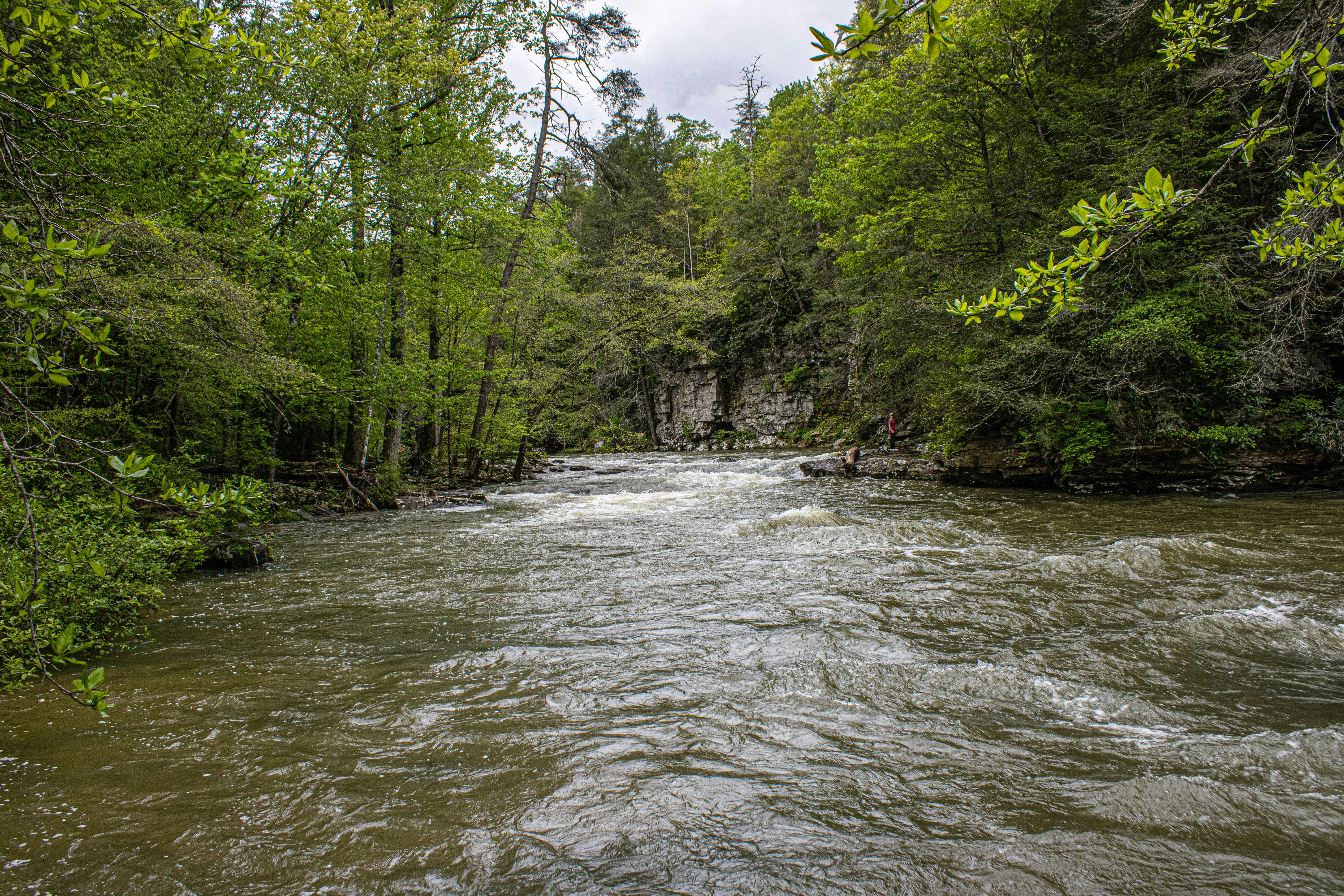 Photo by prphotography262