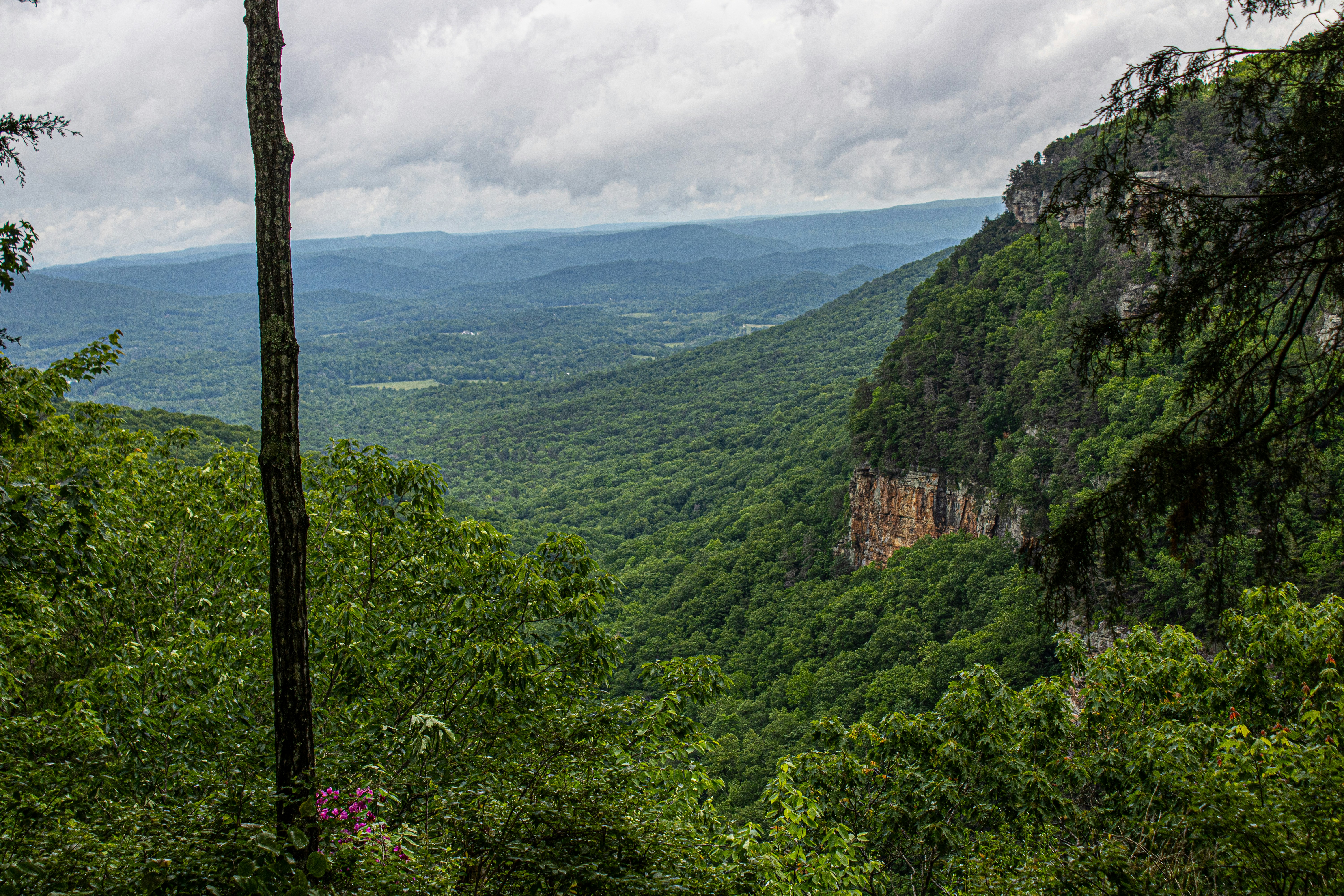 Photo by prphotography262