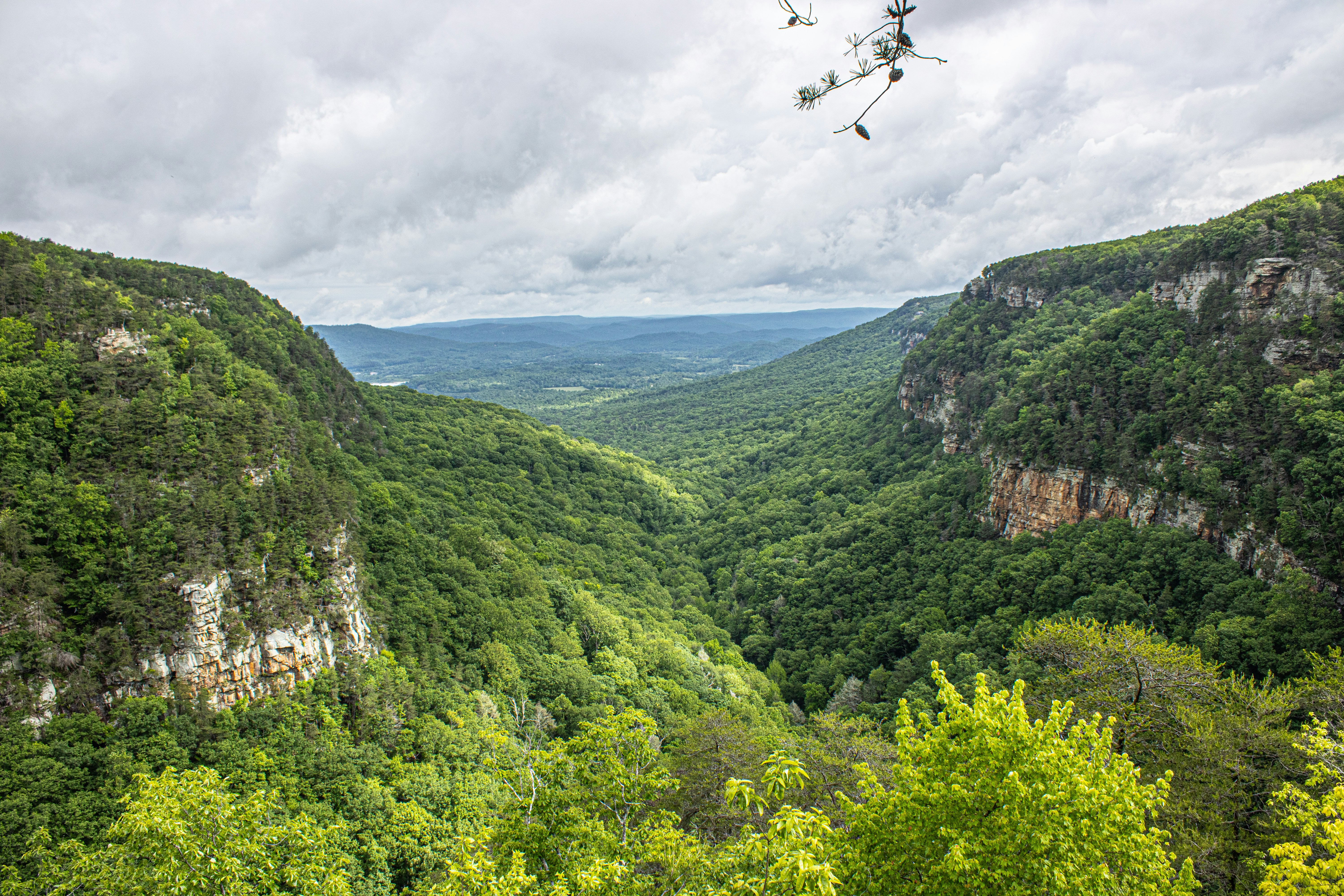 Photo by prphotography262