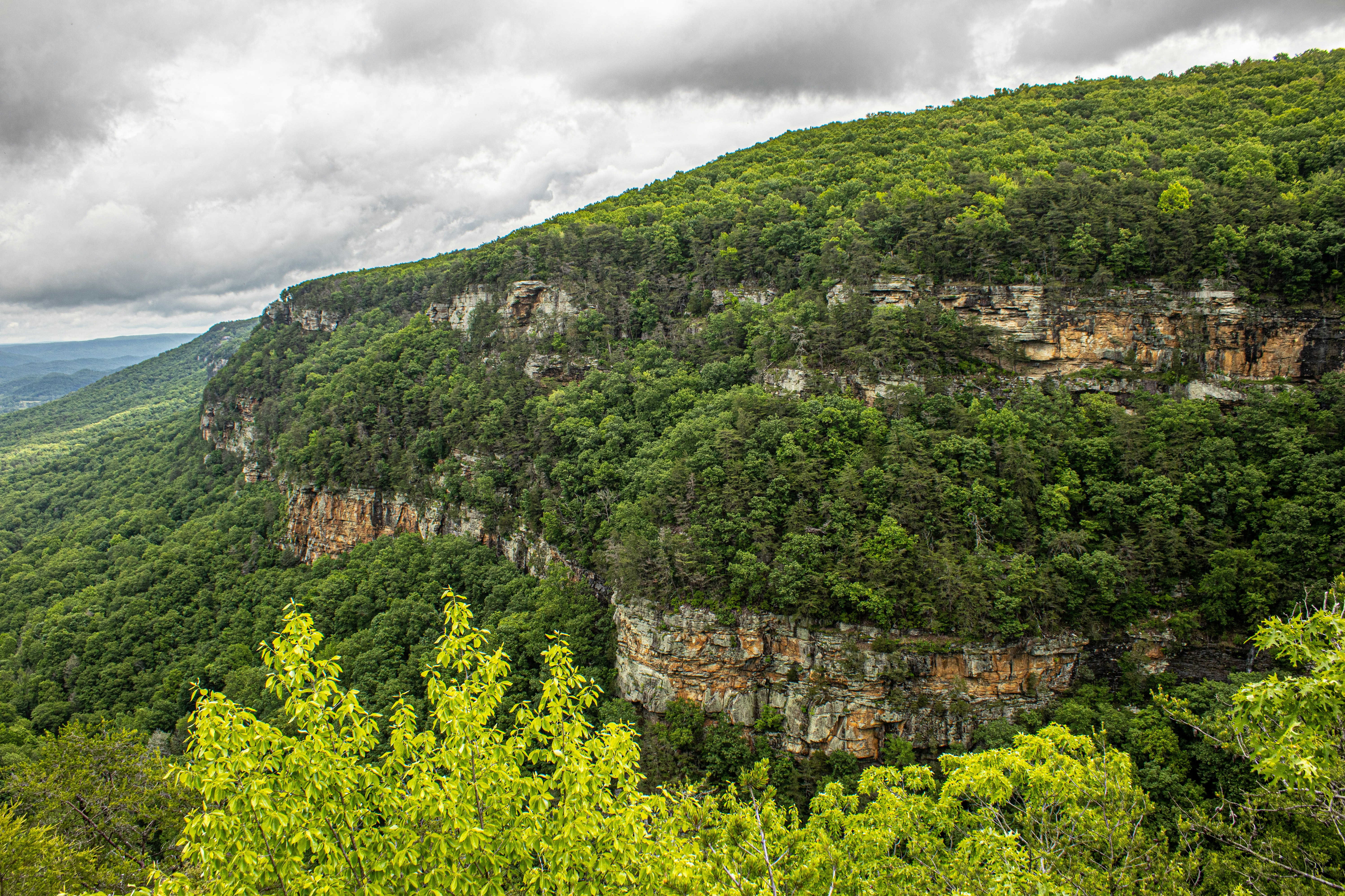 Photo by prphotography262