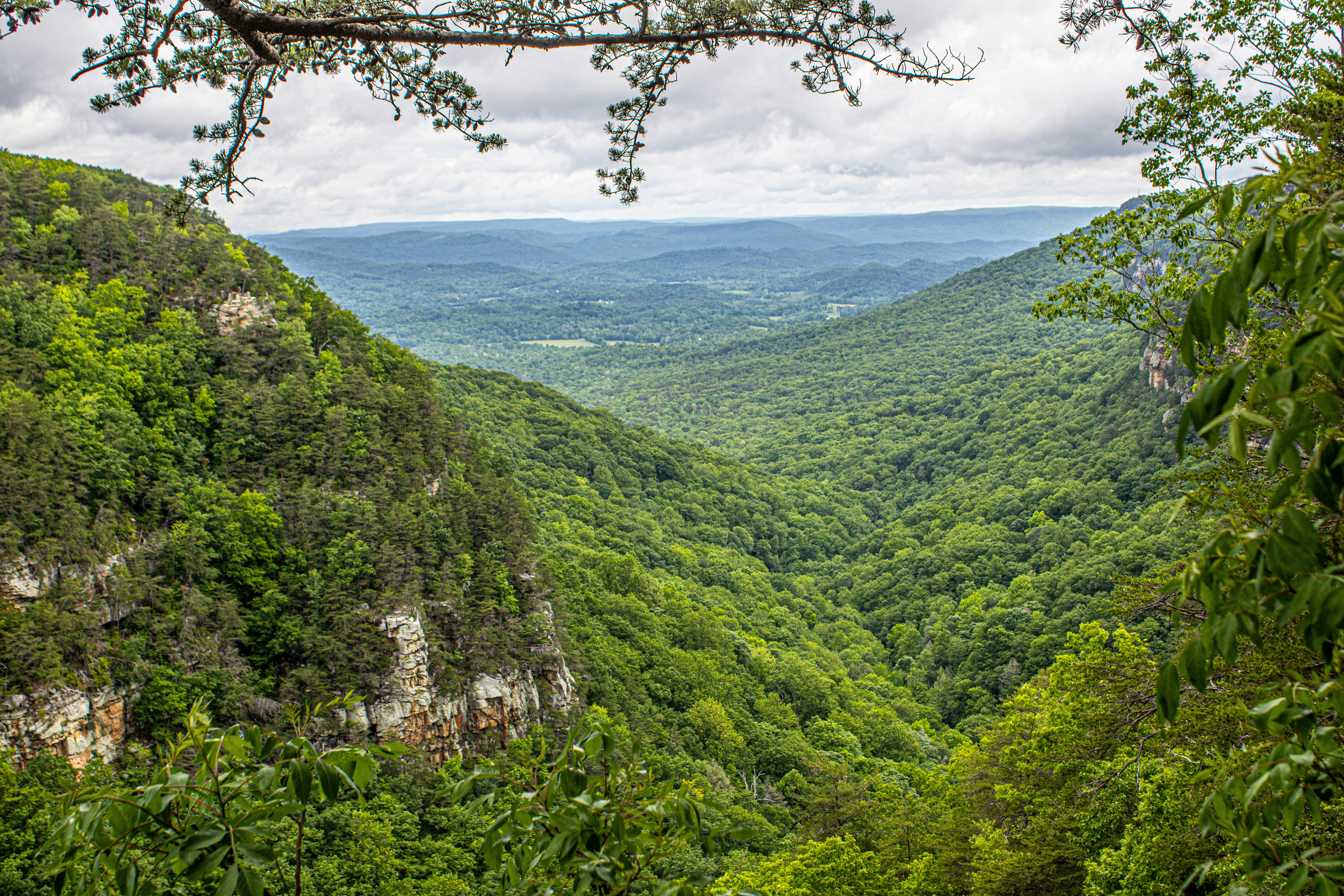 Photo by prphotography262