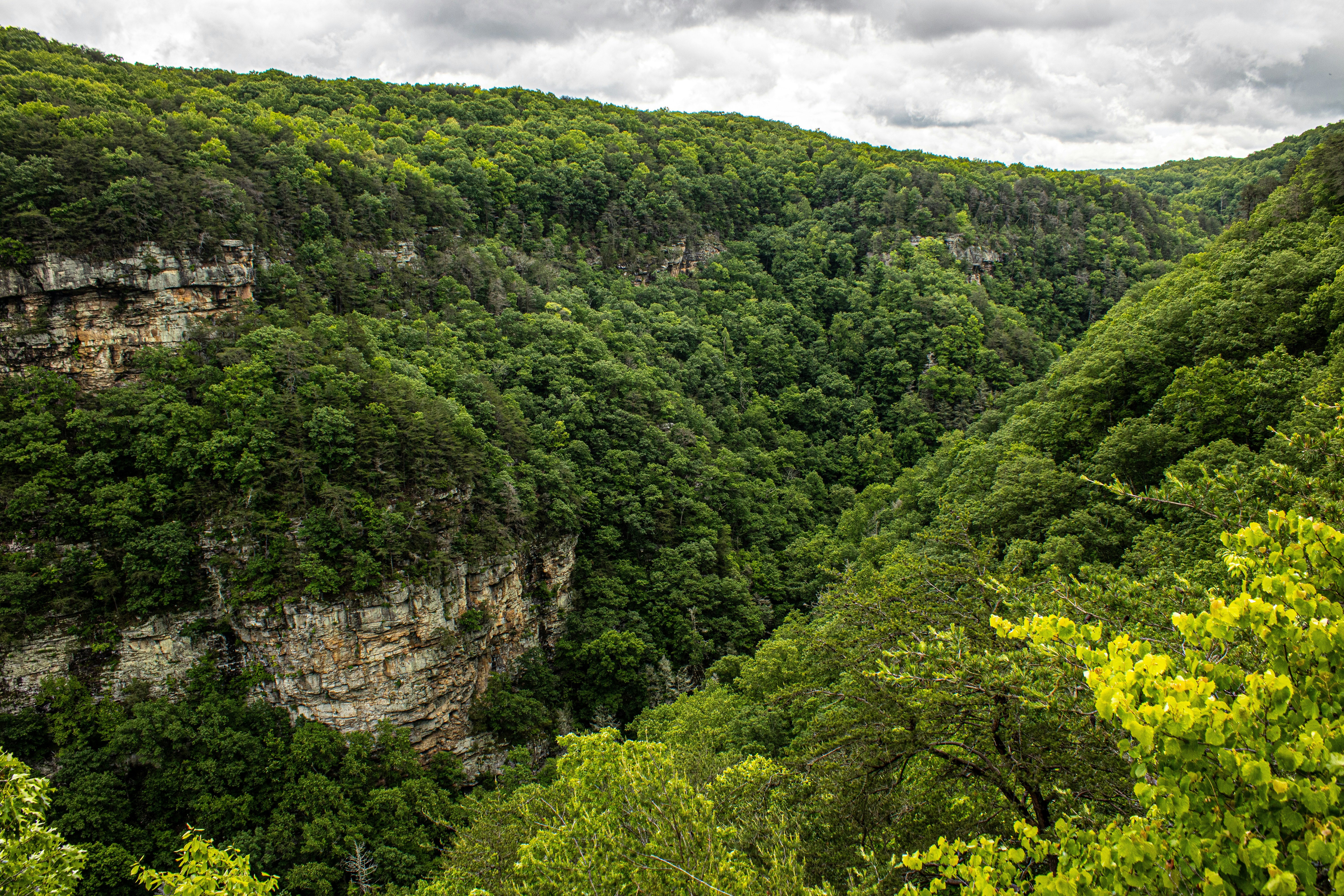 Photo by prphotography262