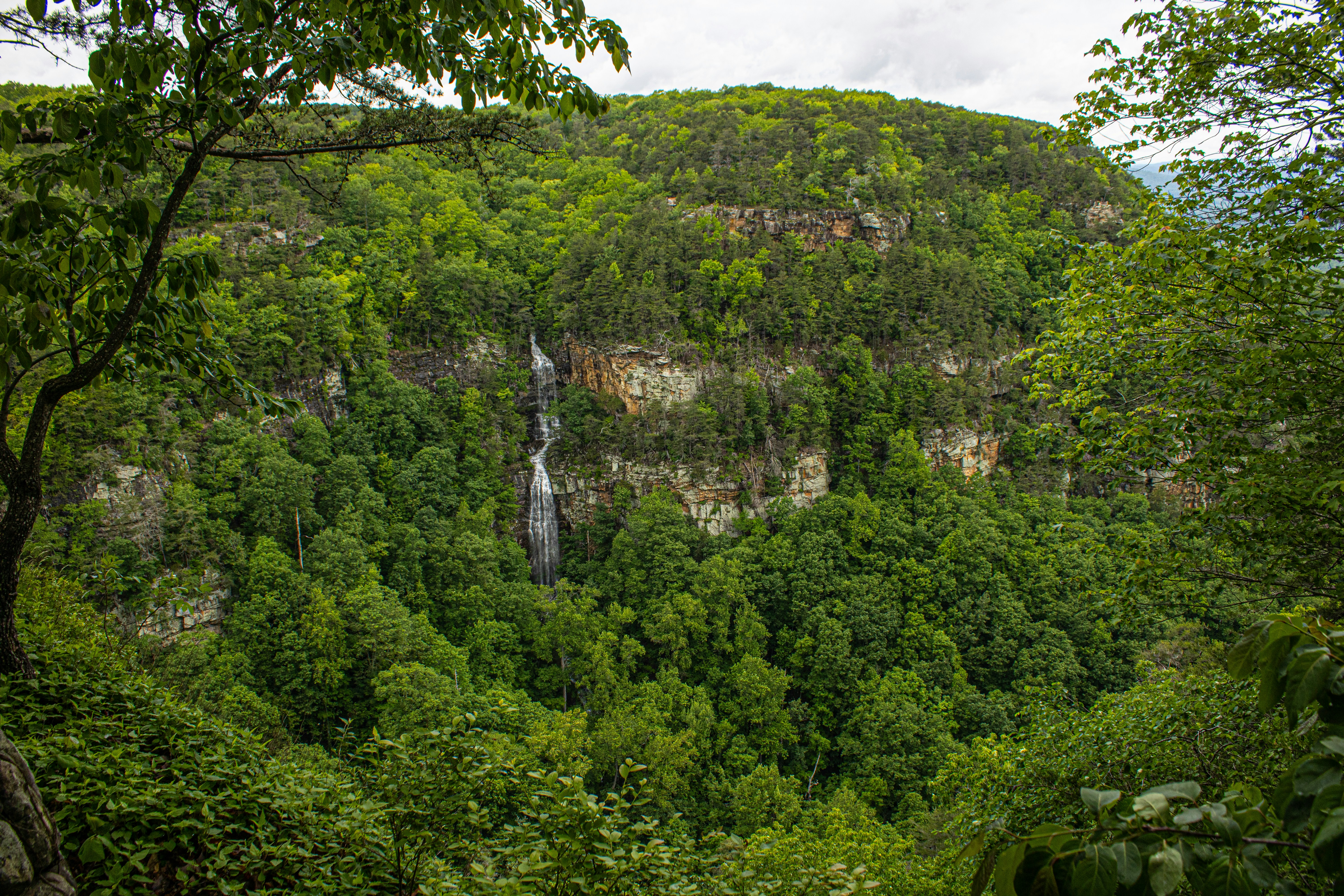 Photo by prphotography262