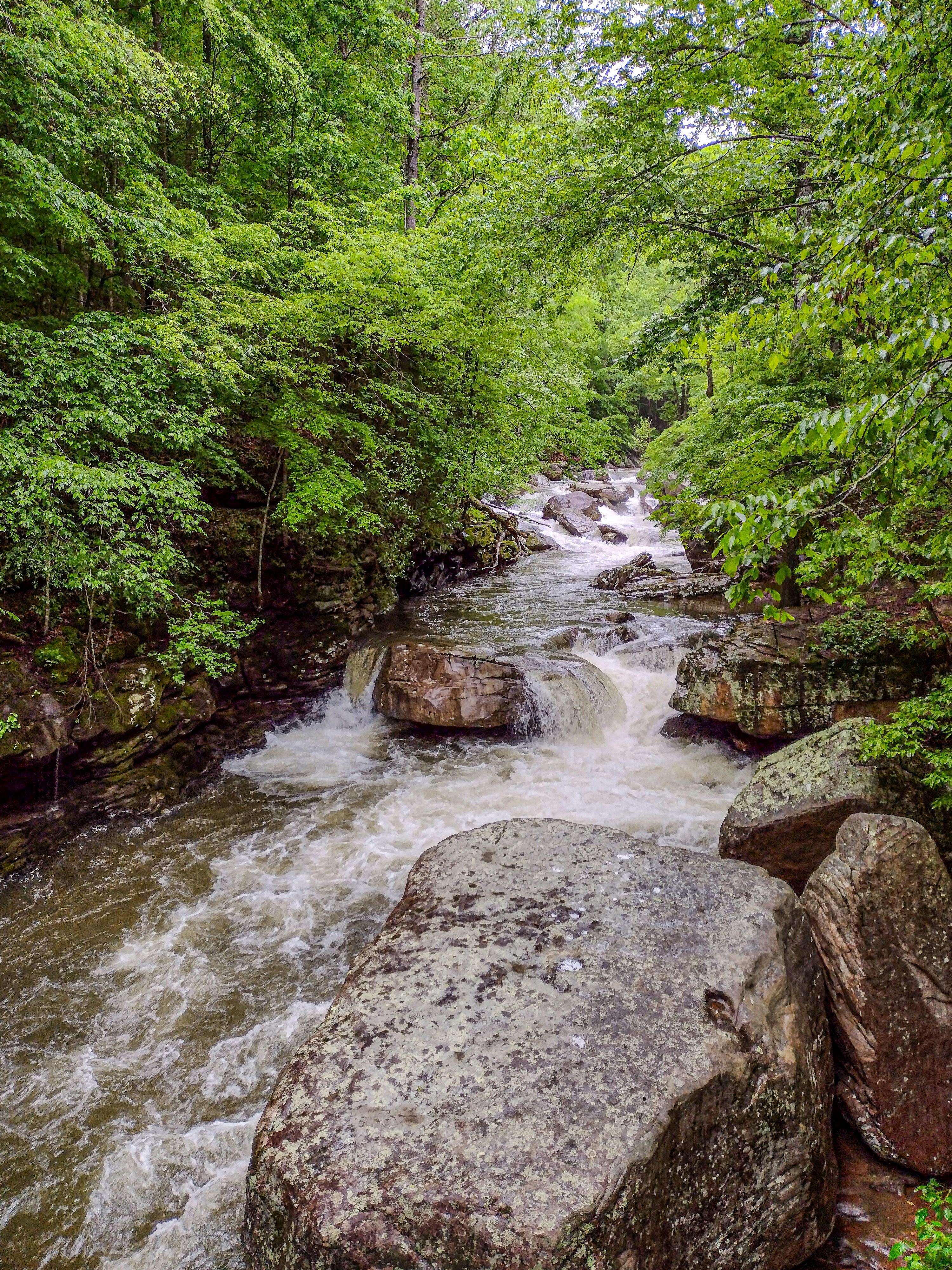 Photo by prphotography262