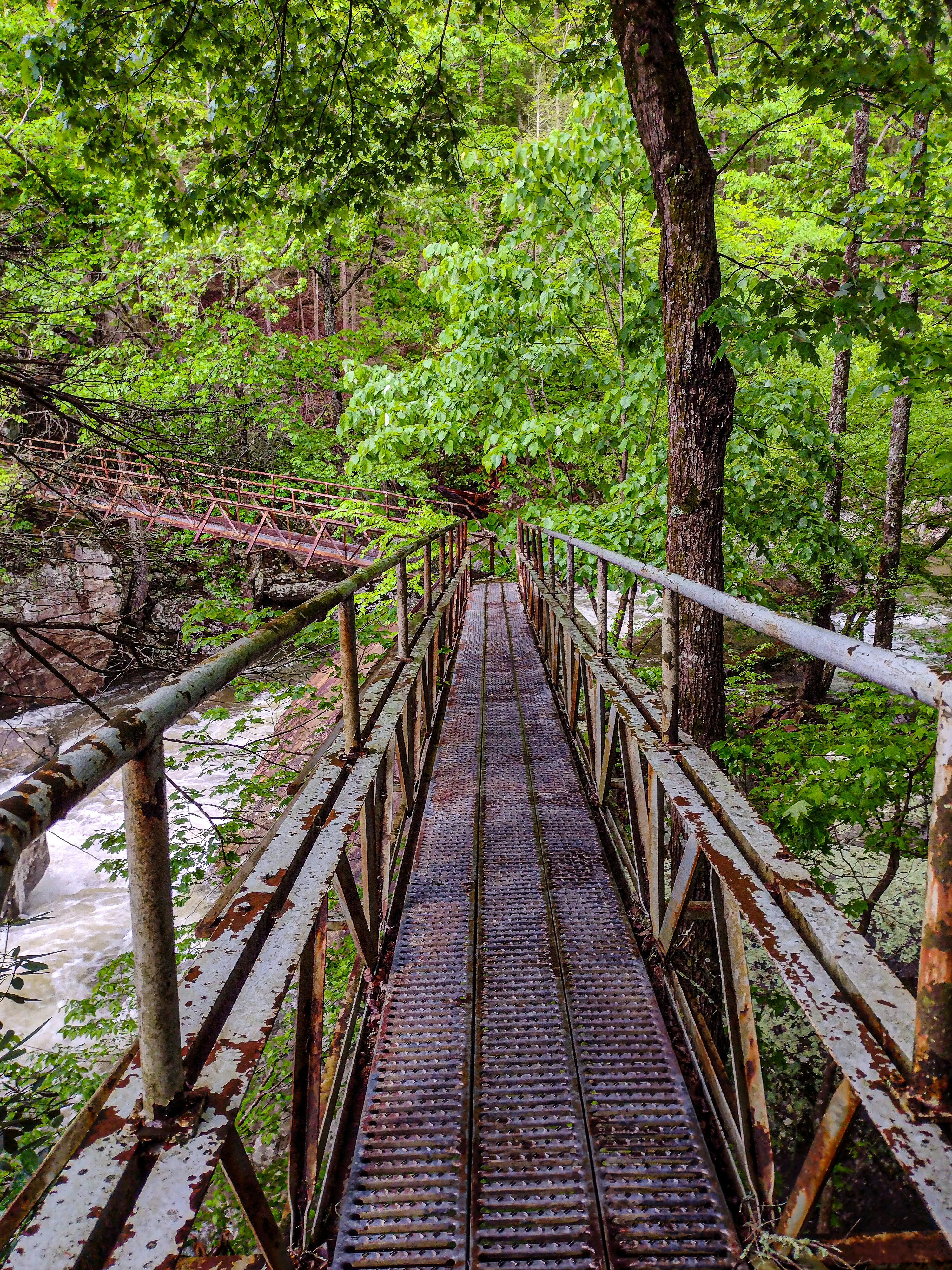 Photo by prphotography262