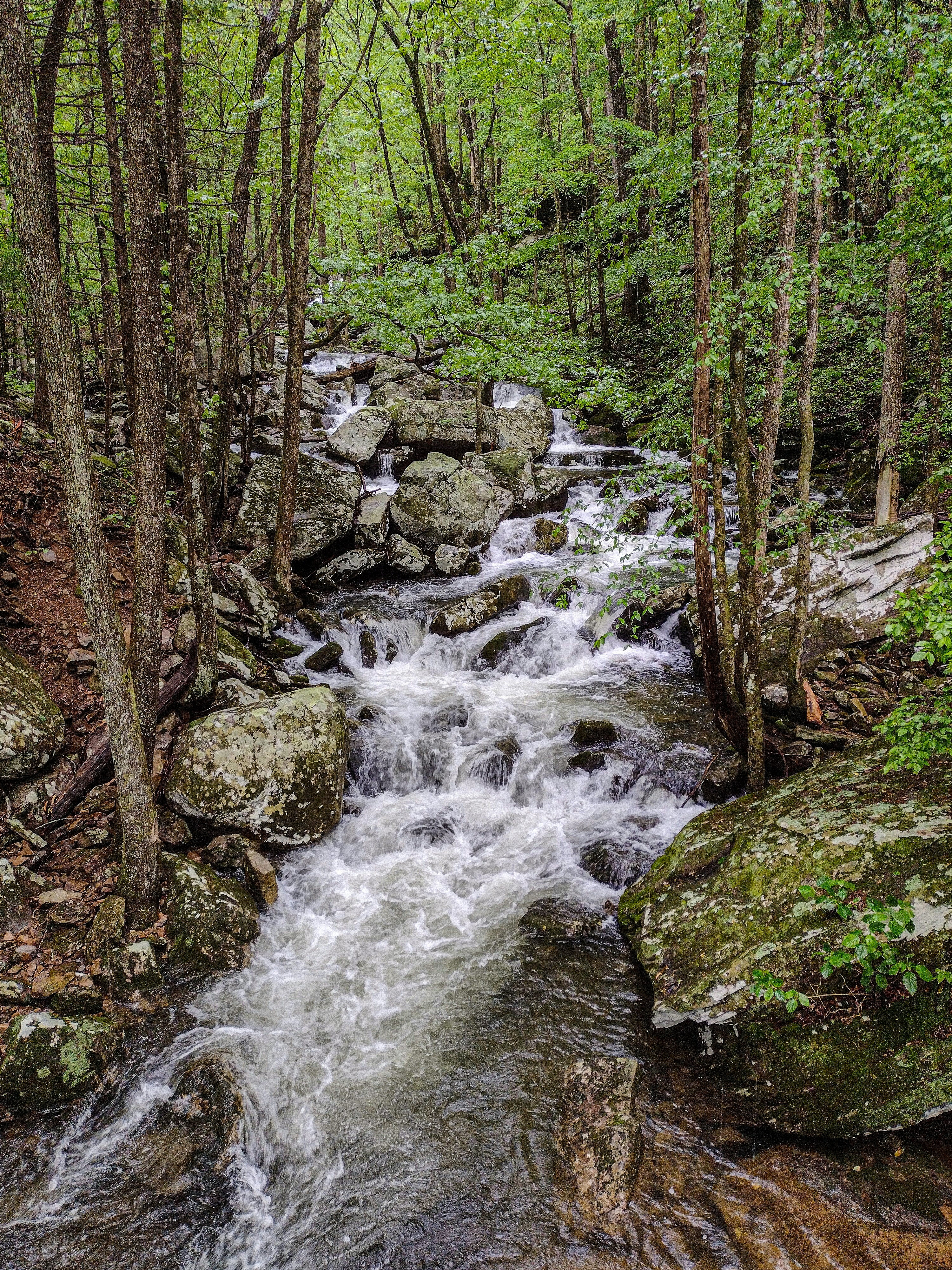 Photo by prphotography262