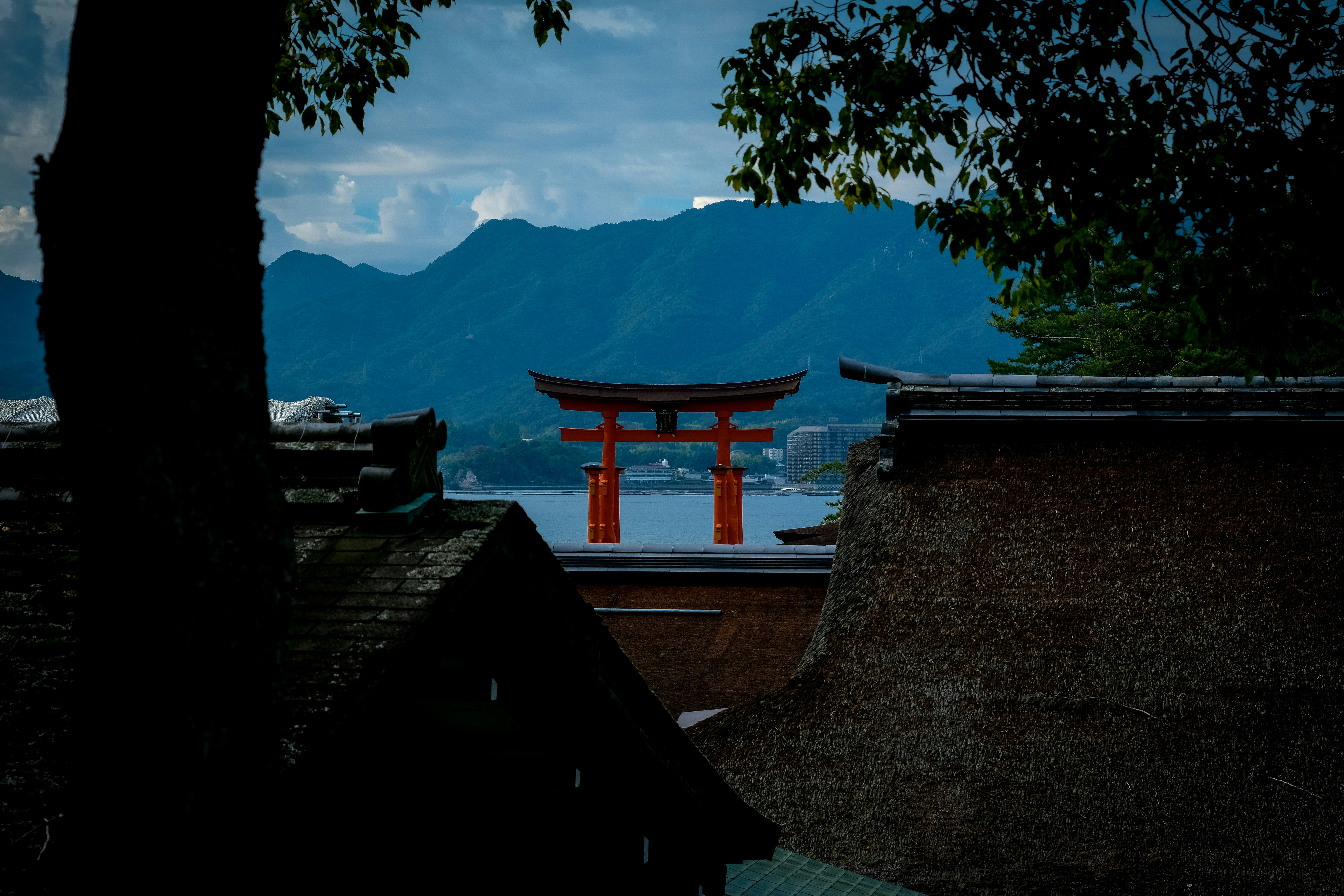 Photo by mistermassaro