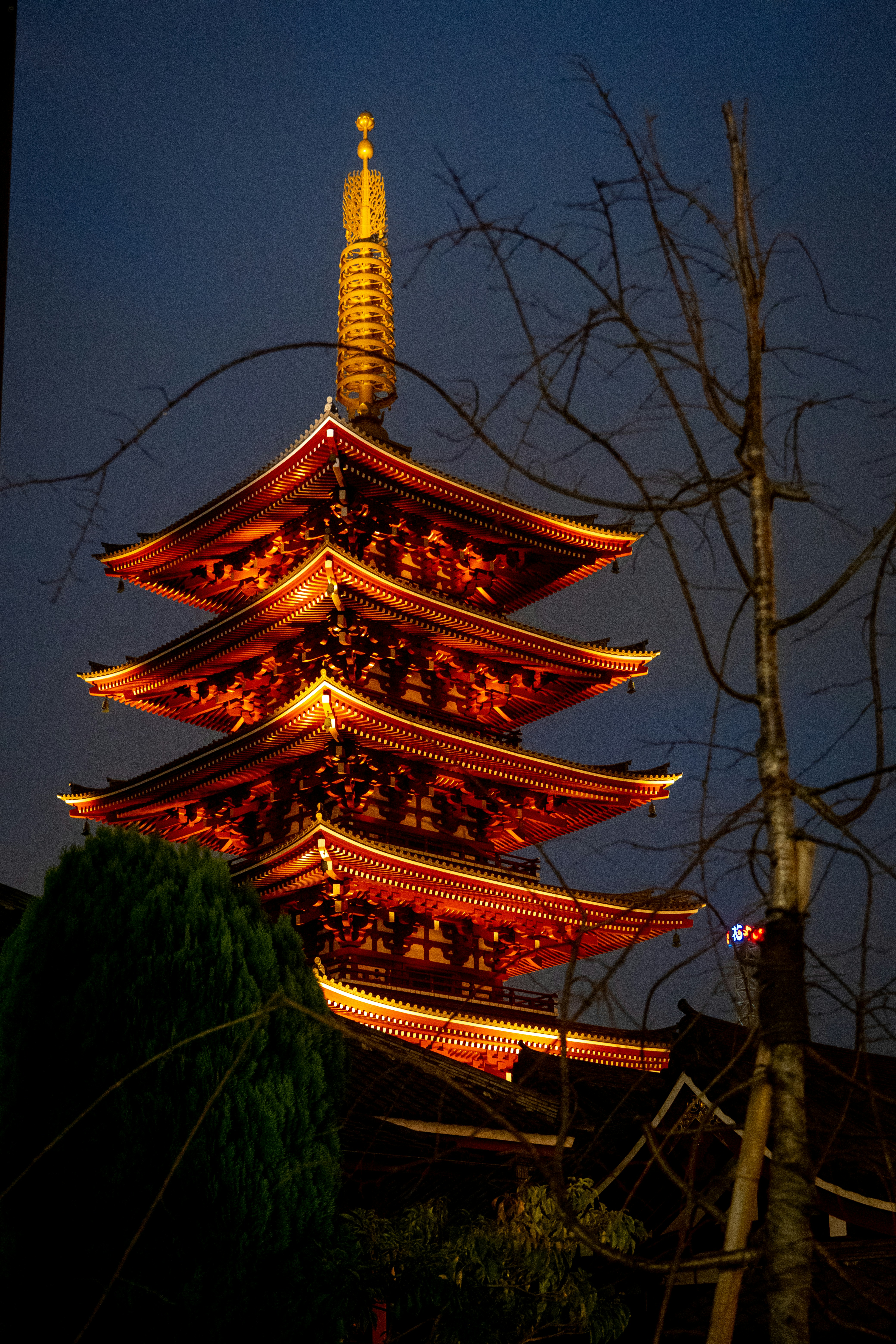 Photo by mistermassaro