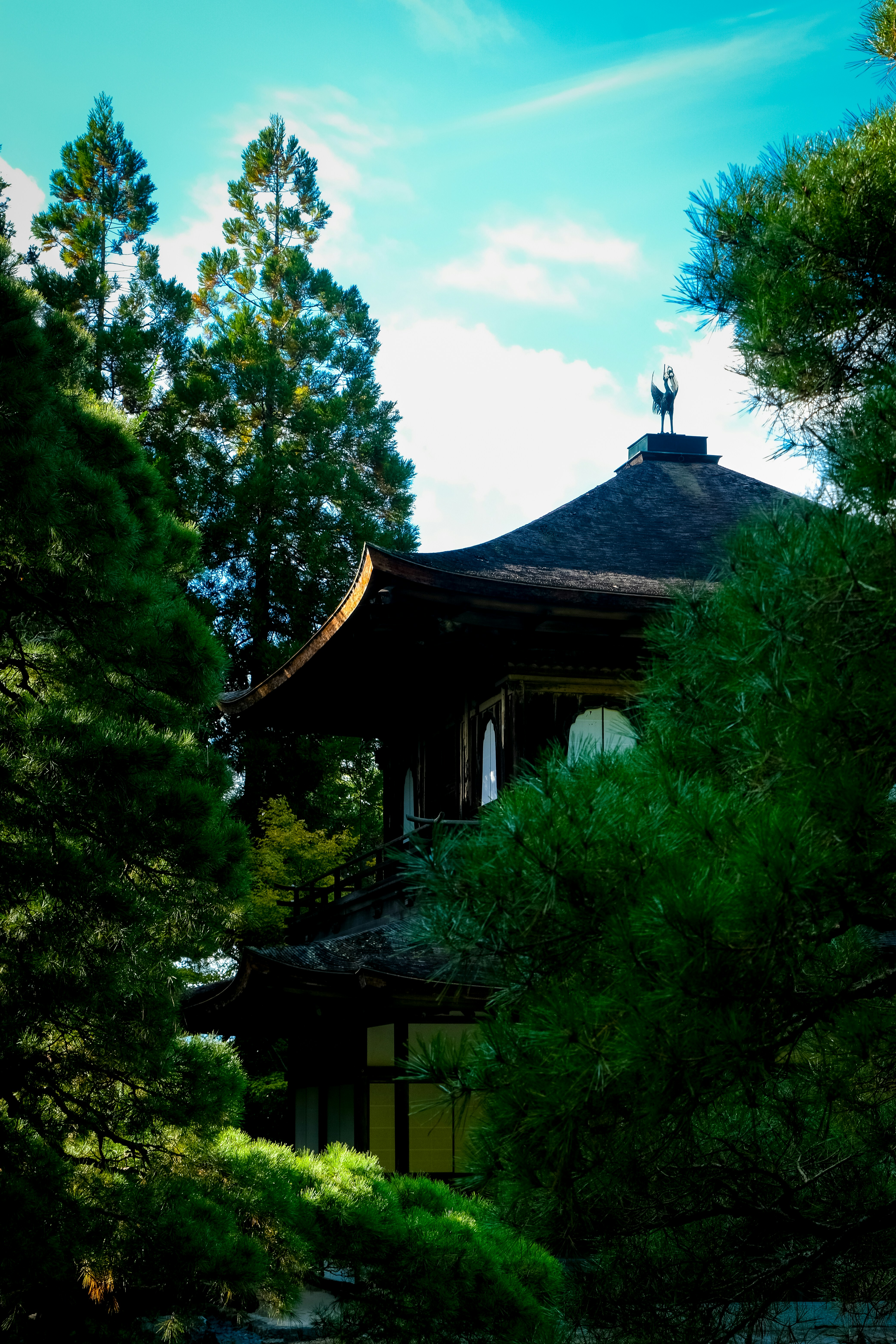 Photo by mistermassaro