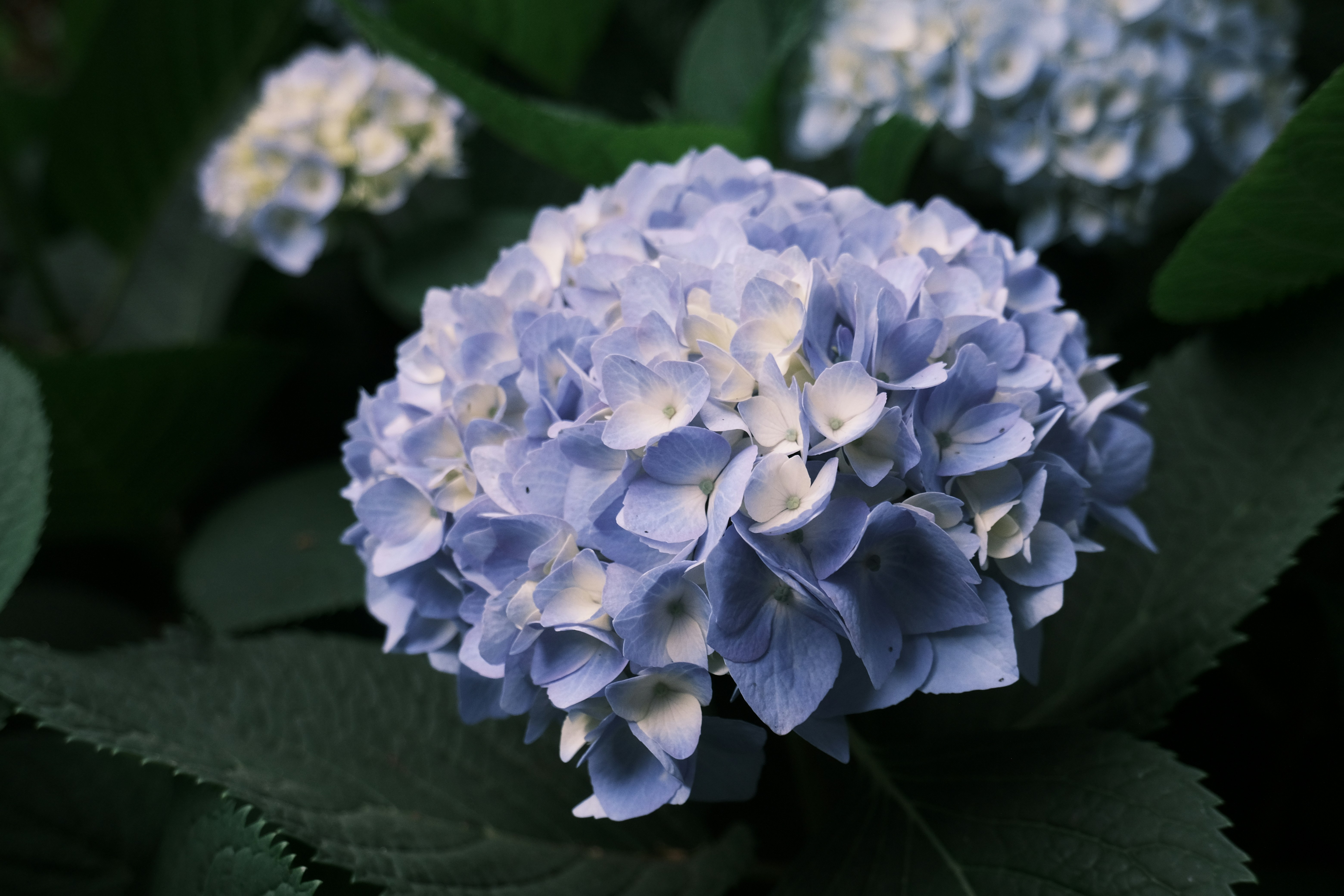 Photo by lookformomo