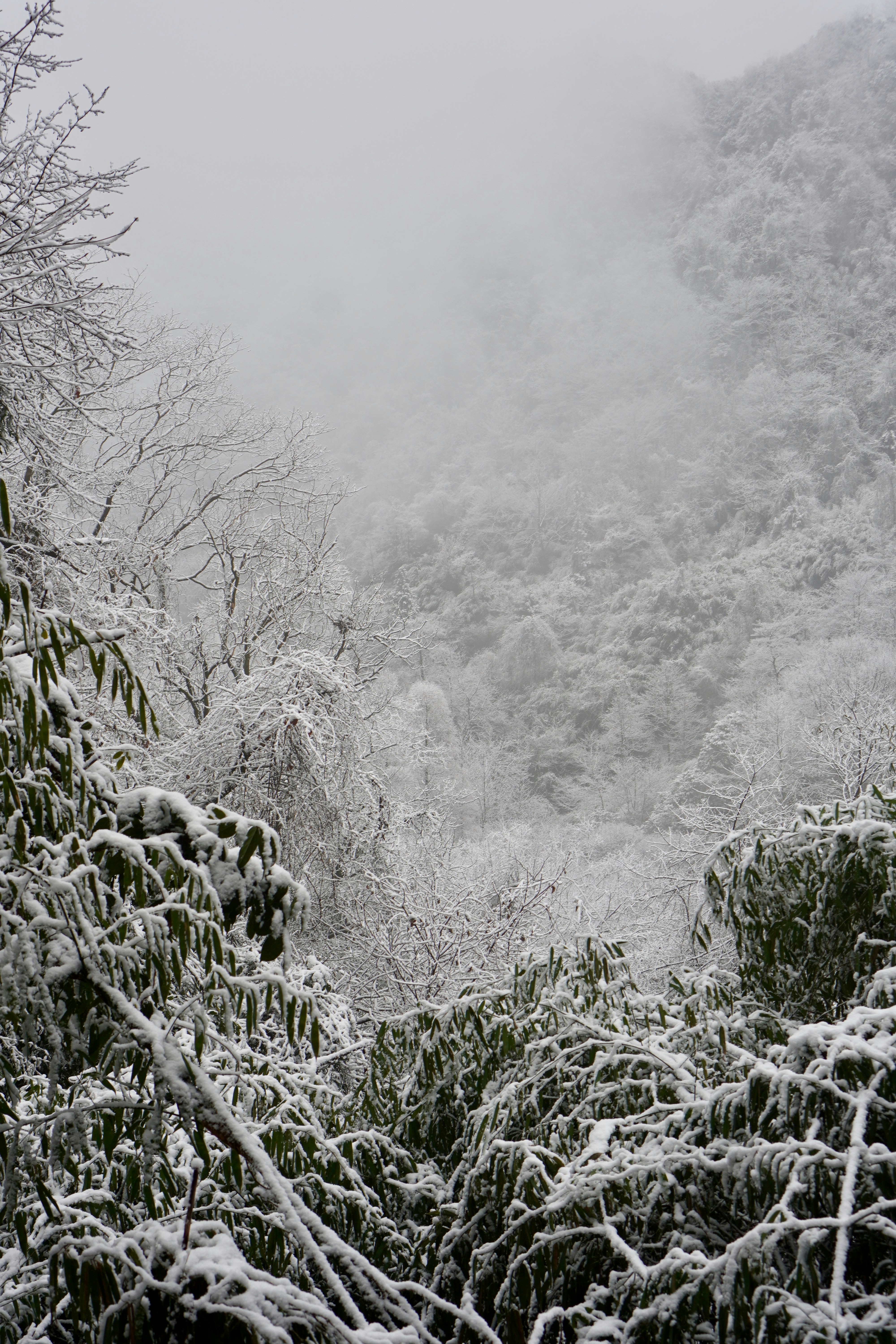 Photo by wuyang_1300