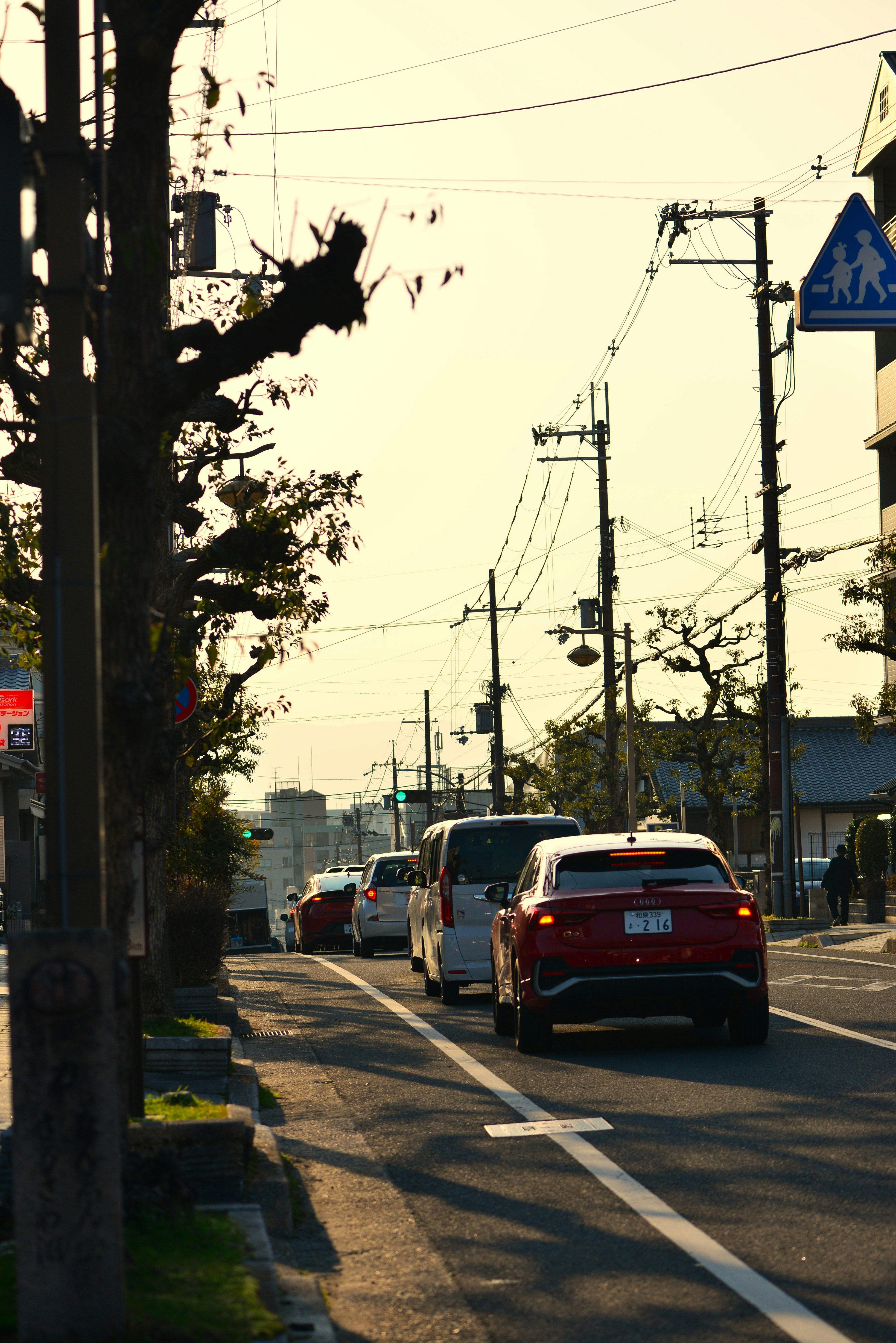 Photo by doctormint