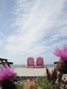 Two pink chairs sit near the ocean.