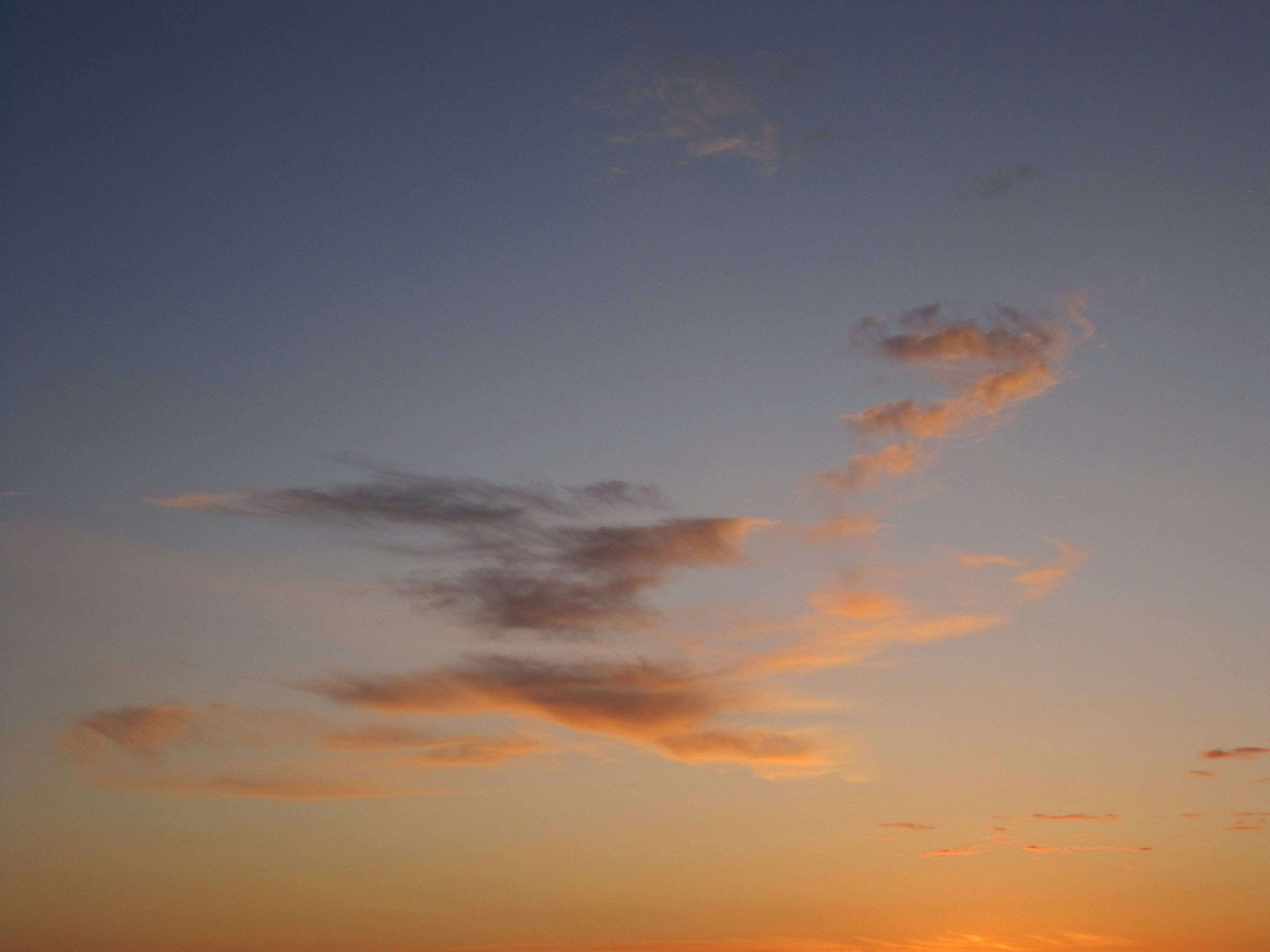 Photo by annaxphiline