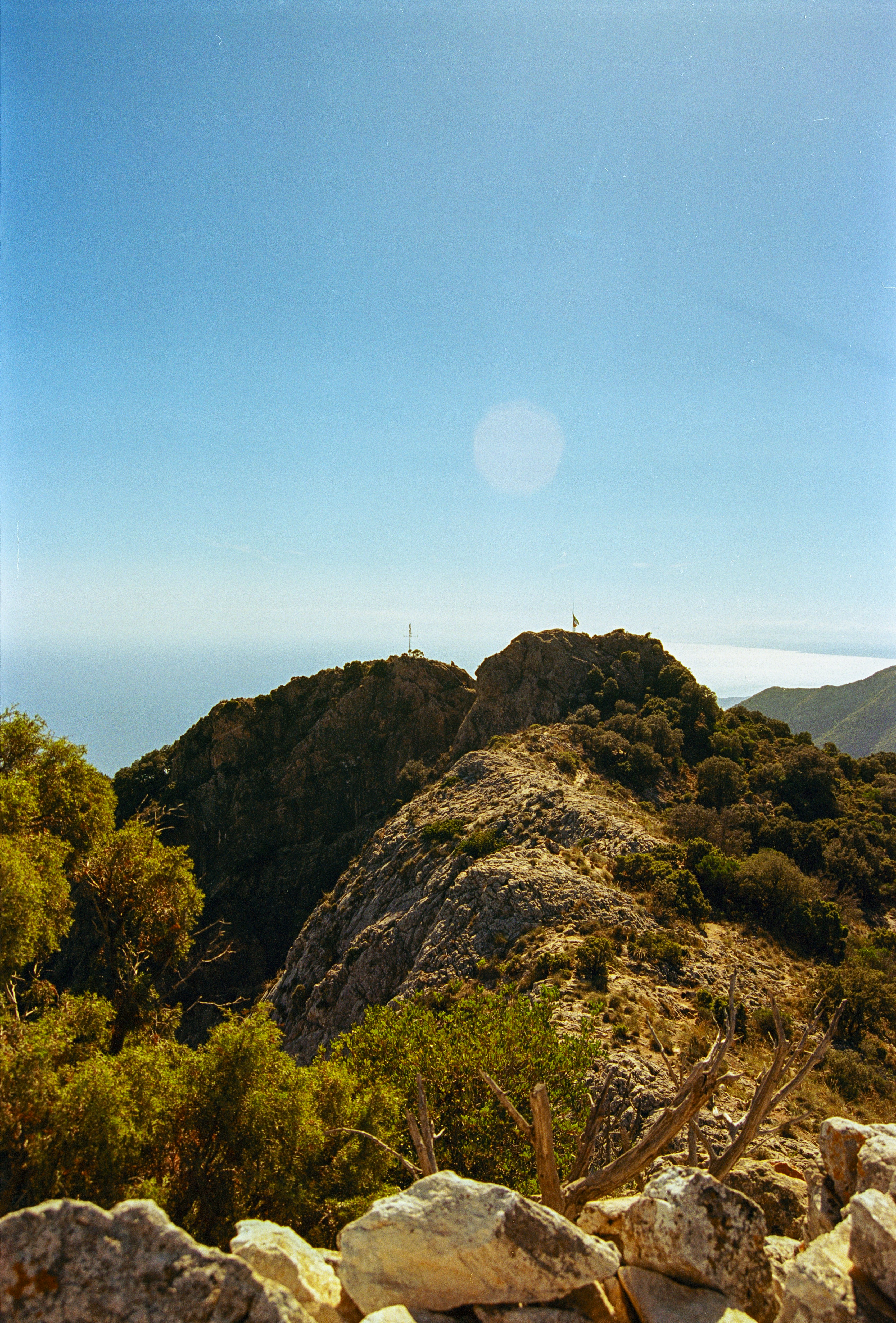 Photo by artistseyes