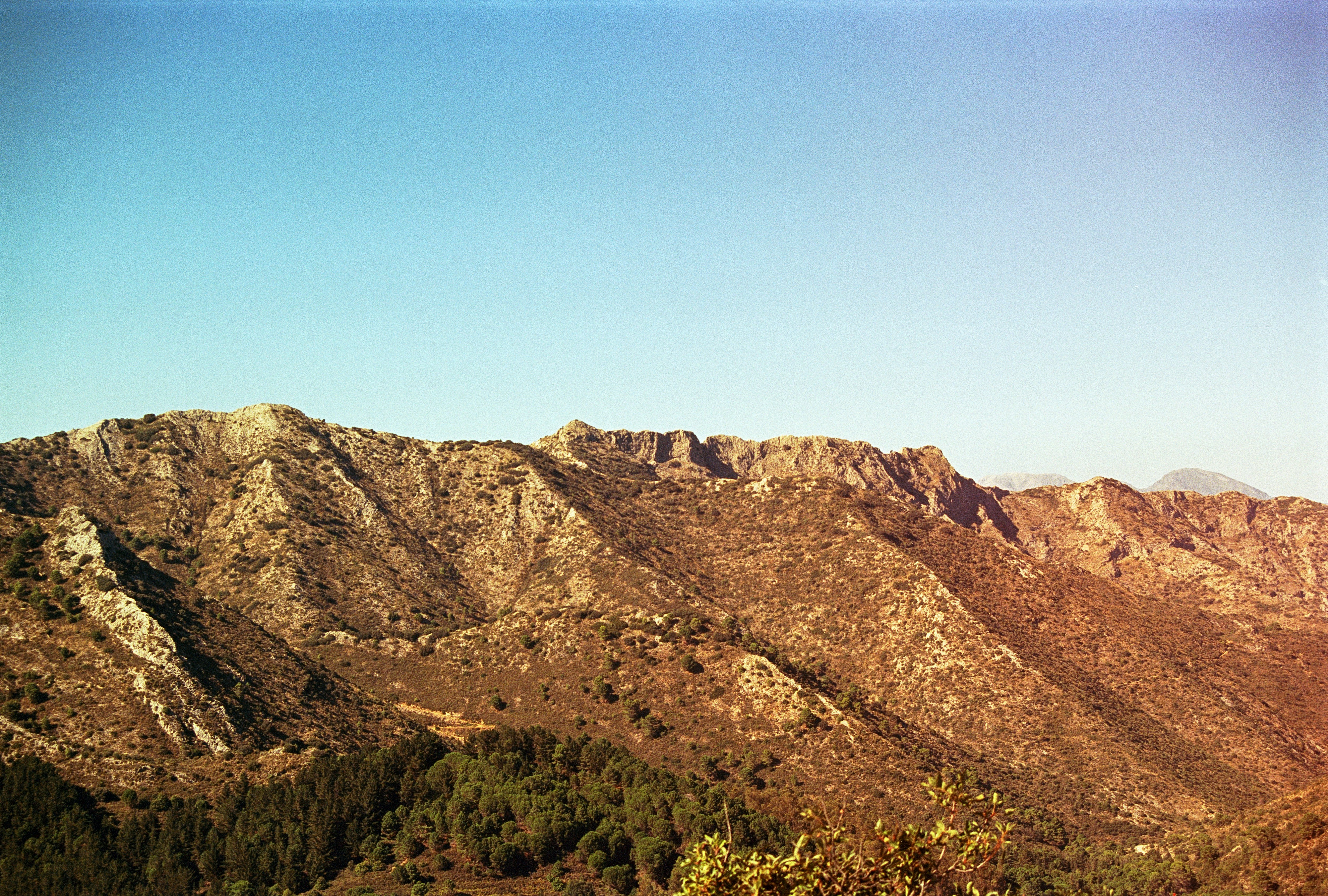 Photo by artistseyes