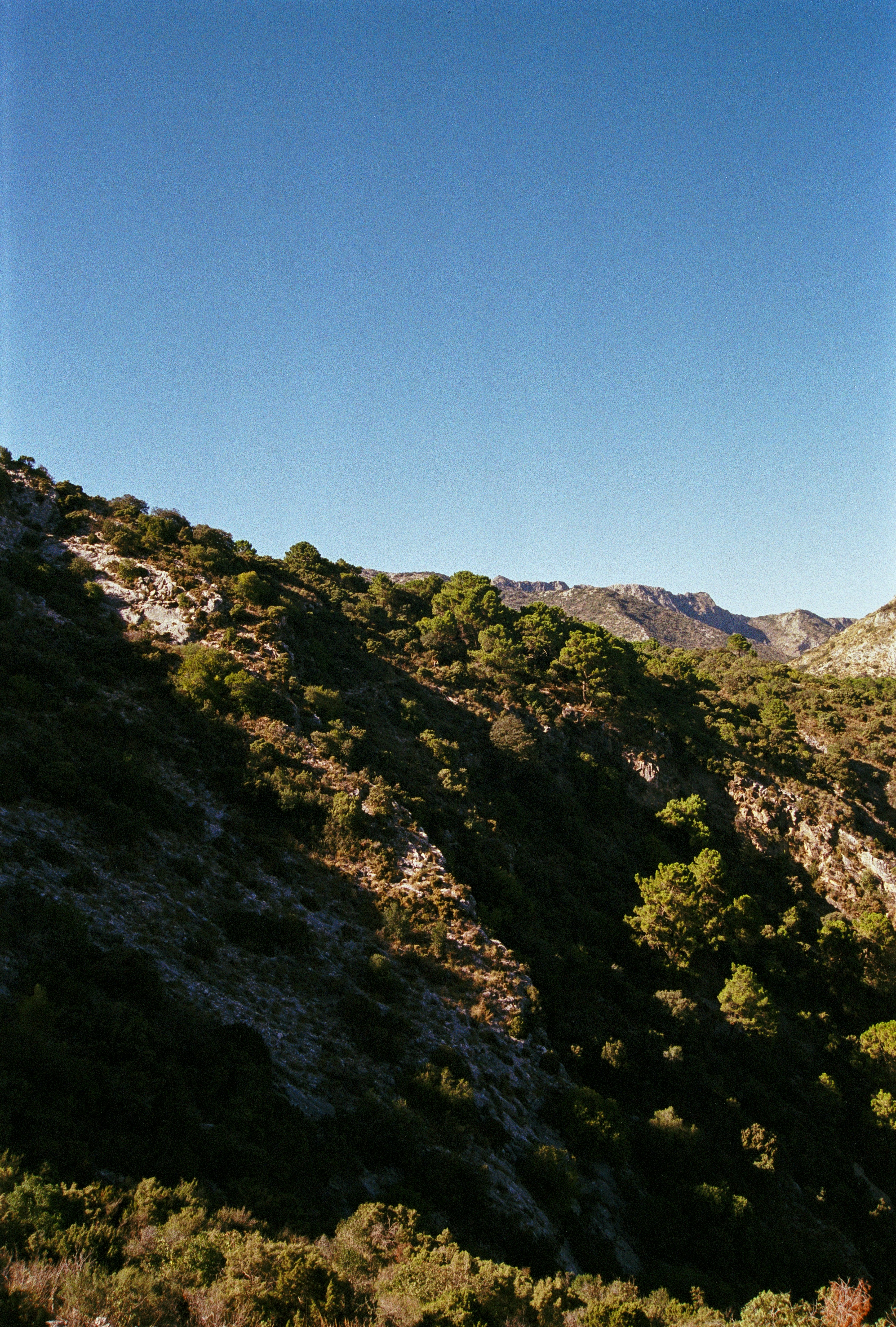 Photo by artistseyes