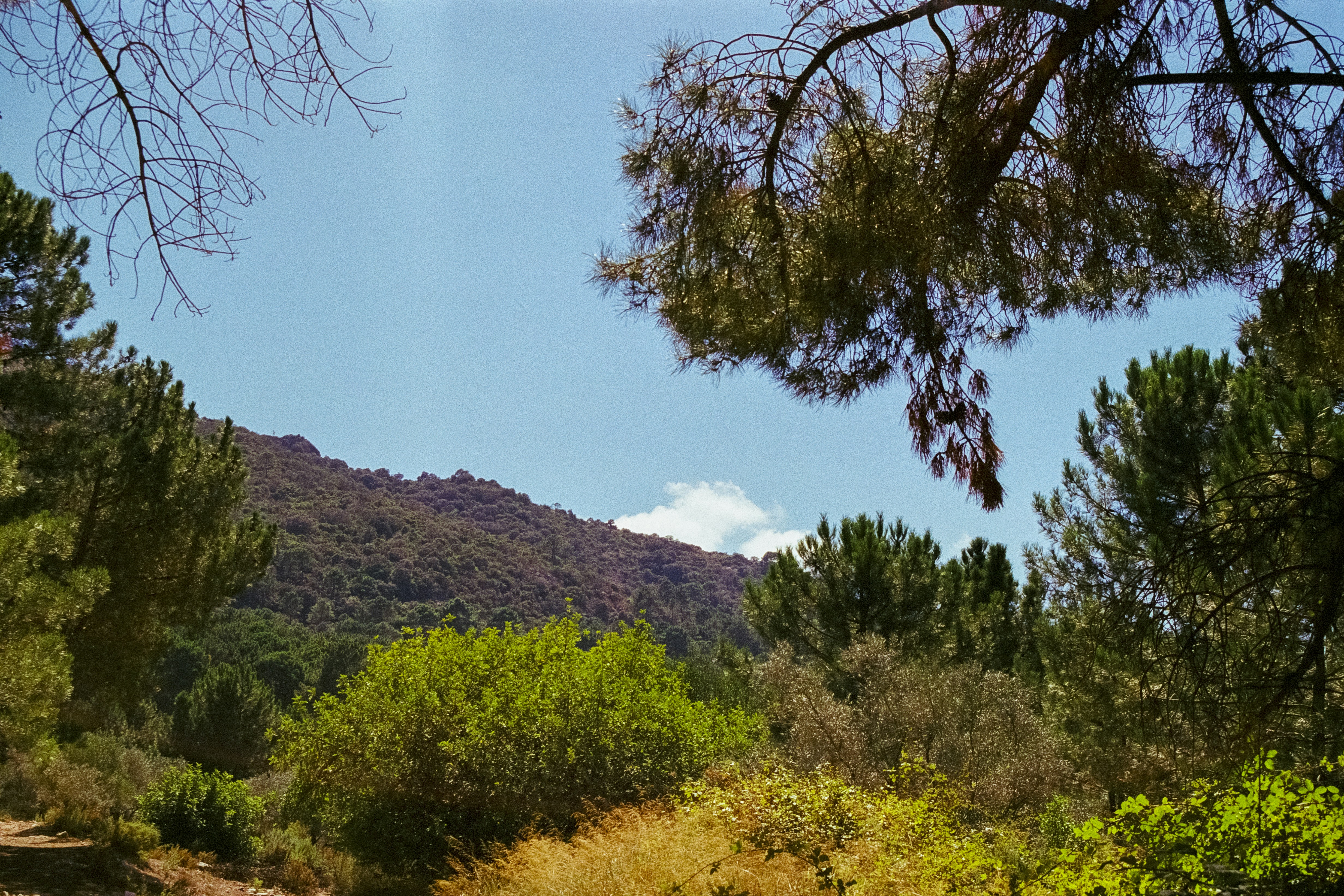 Photo by artistseyes