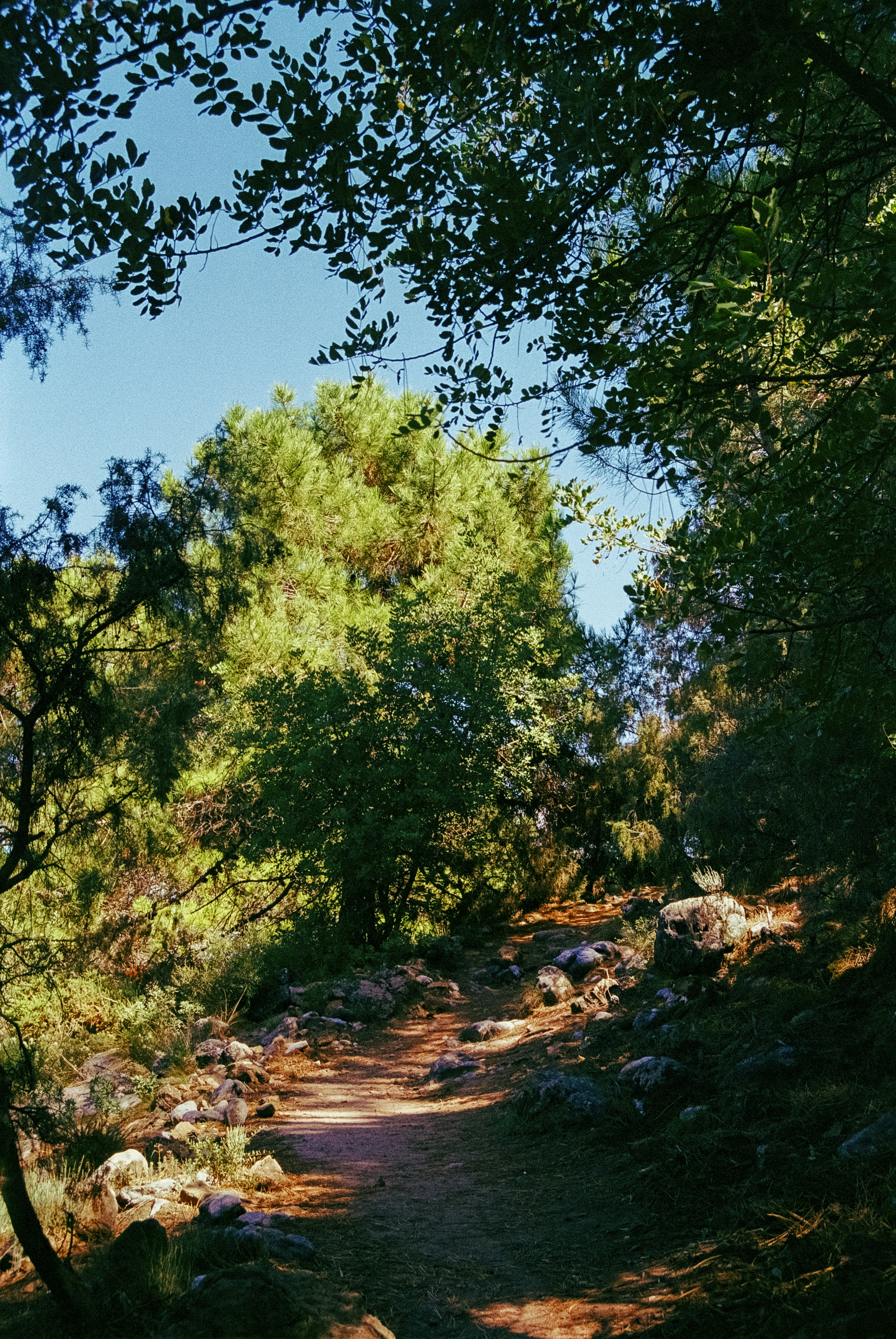 Photo by artistseyes