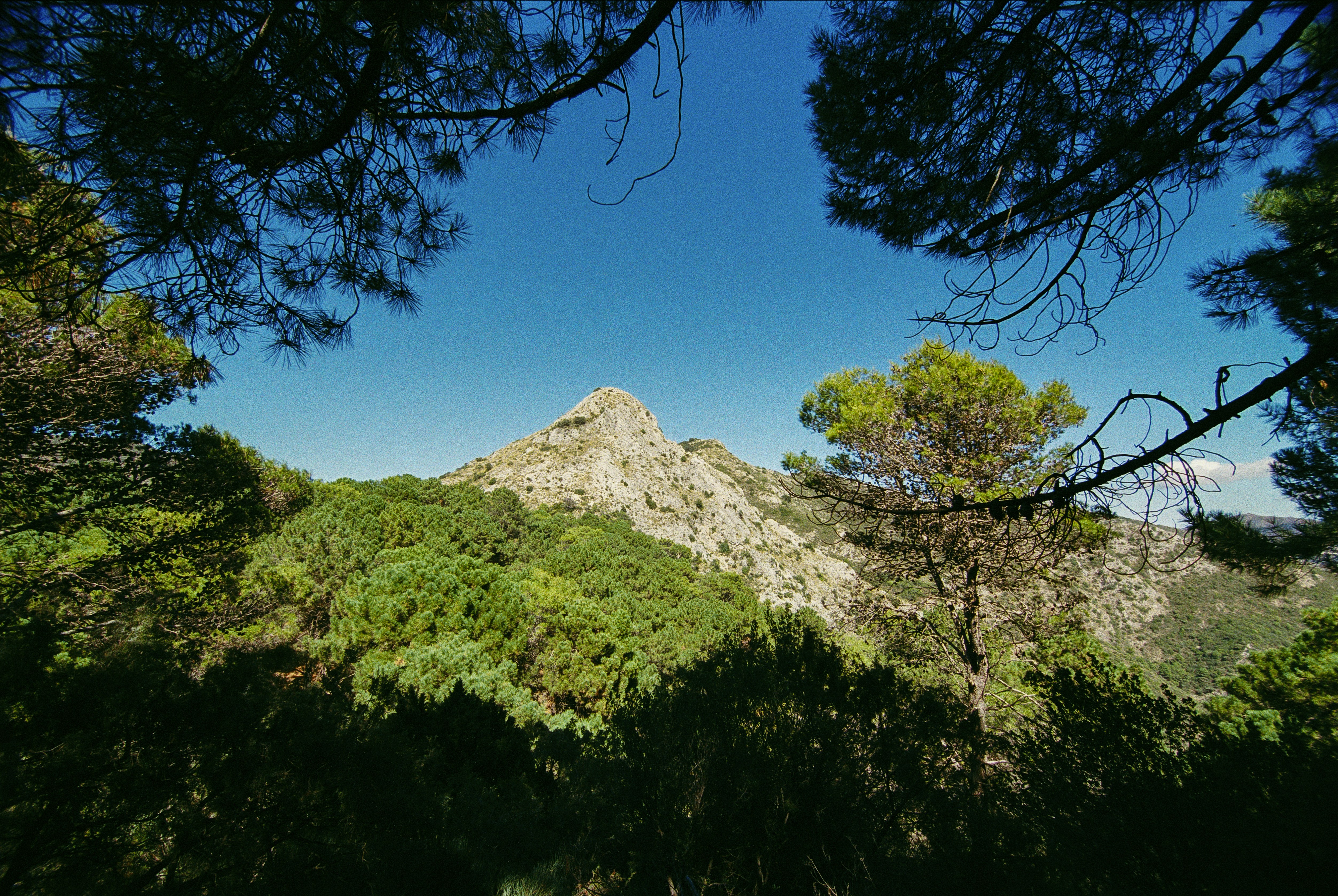 Photo by artistseyes