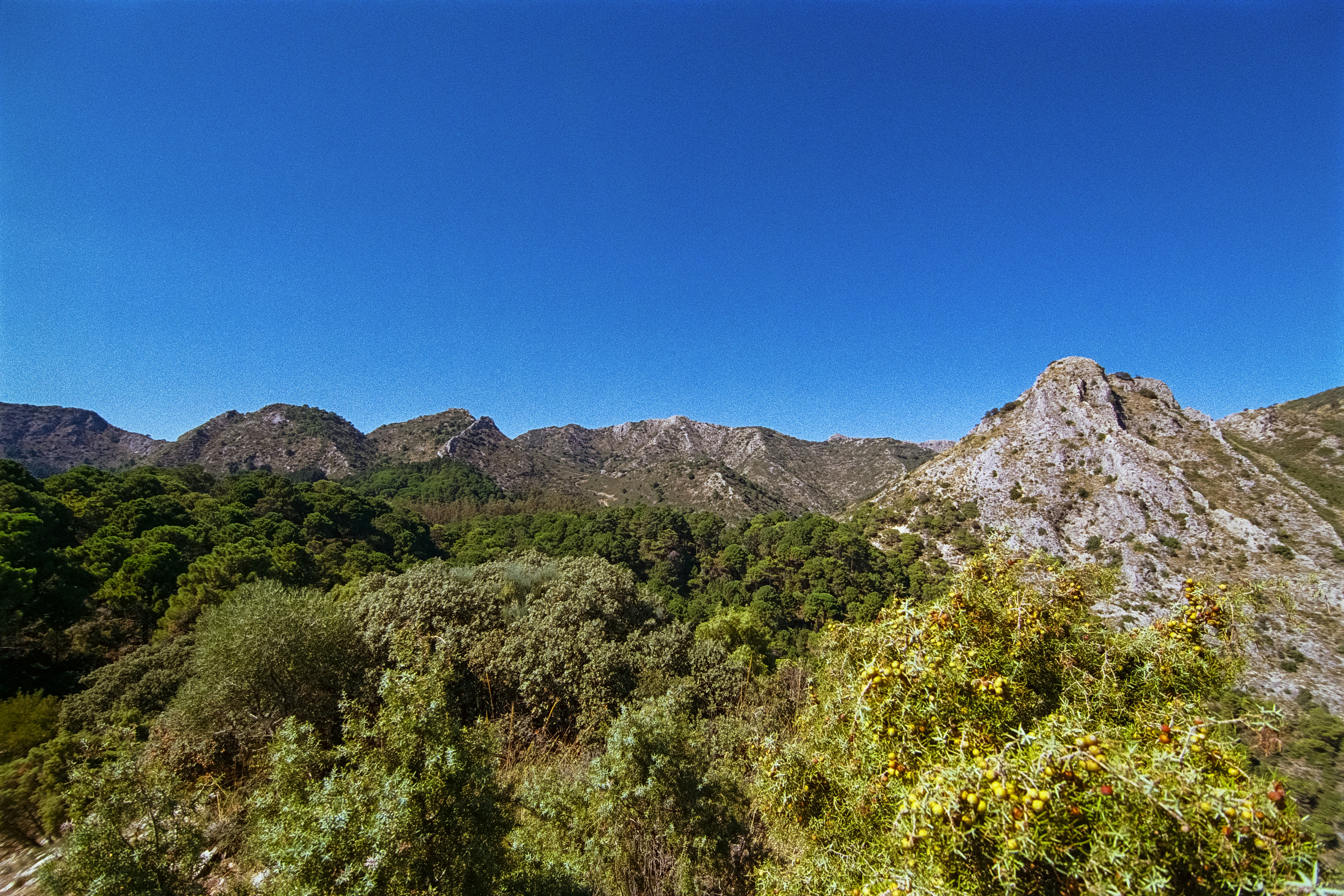 Photo by artistseyes